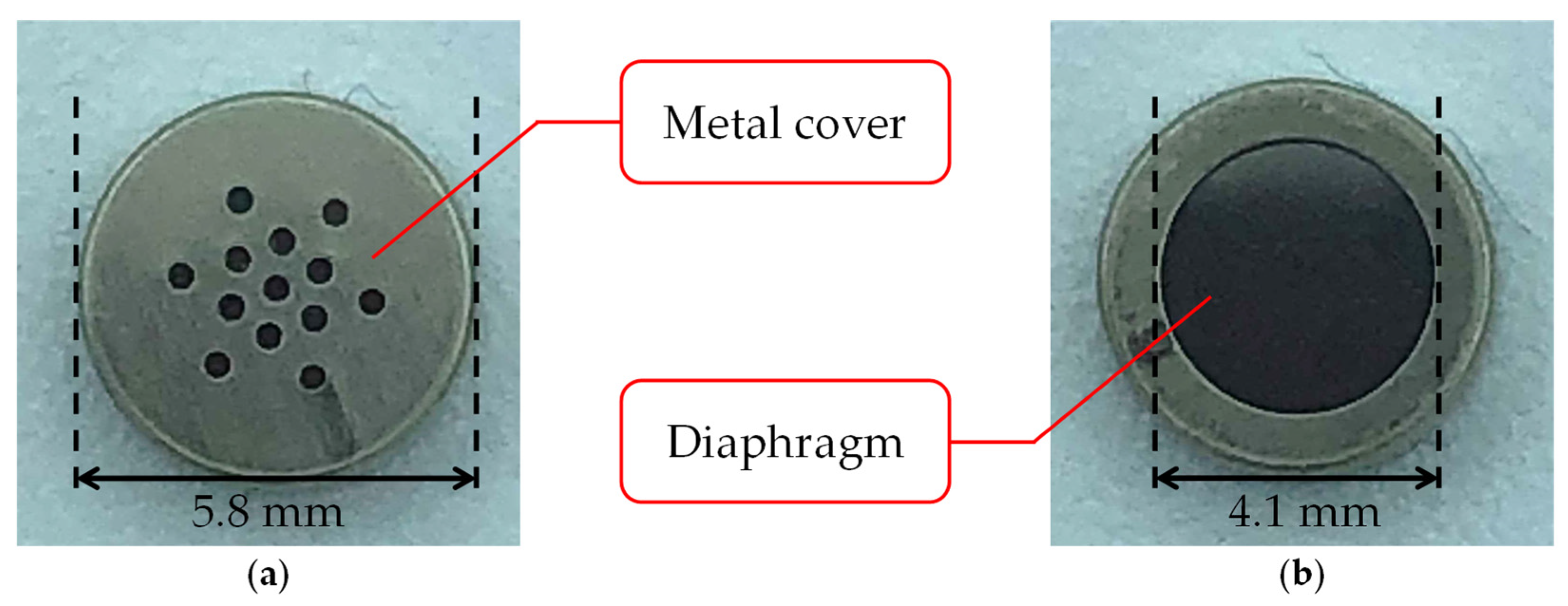 Sensors 21 07981 g003