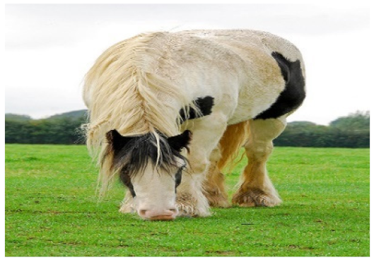 Sensors 21 07982 i003