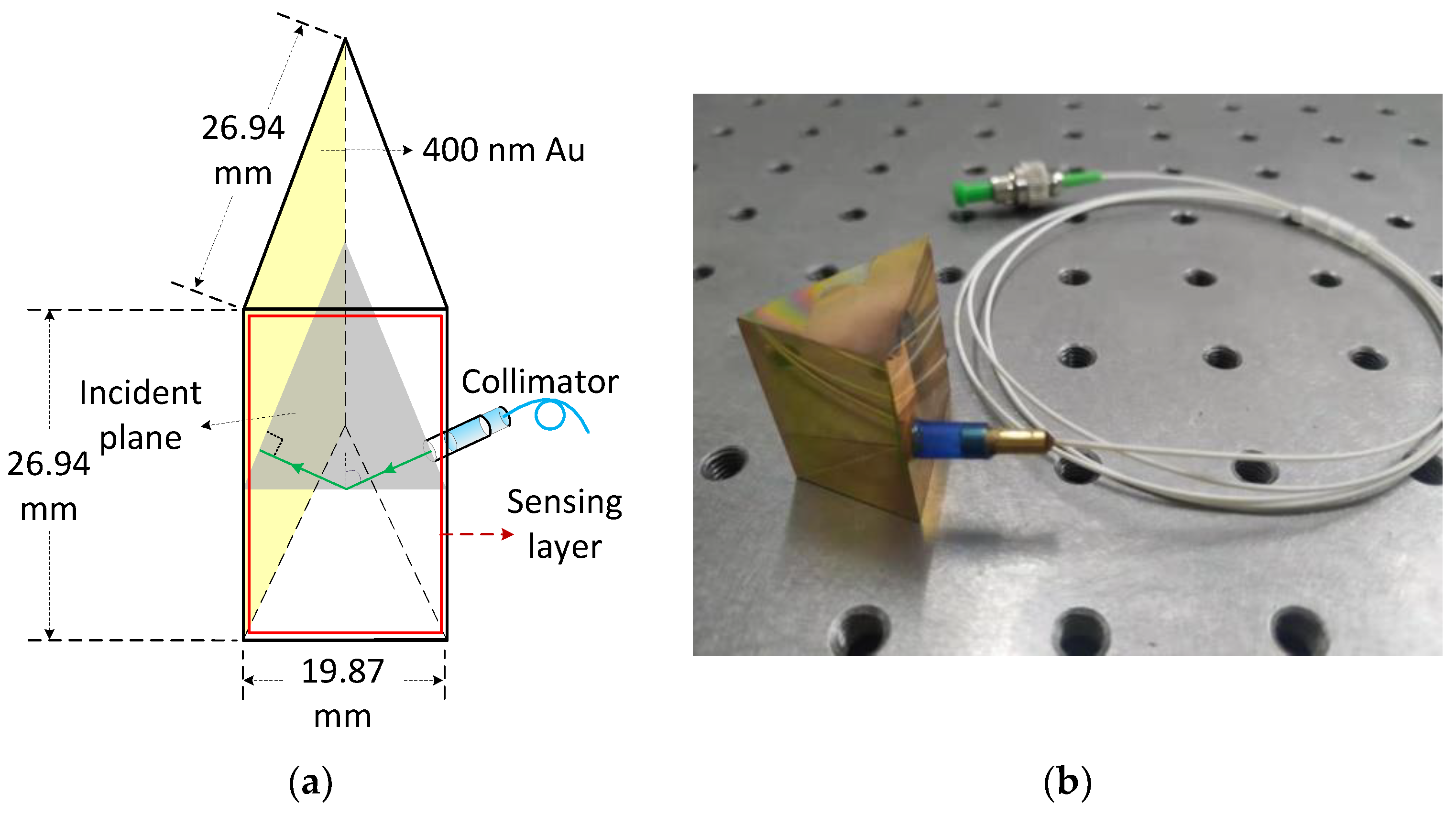 Sensors 21 07984 g006