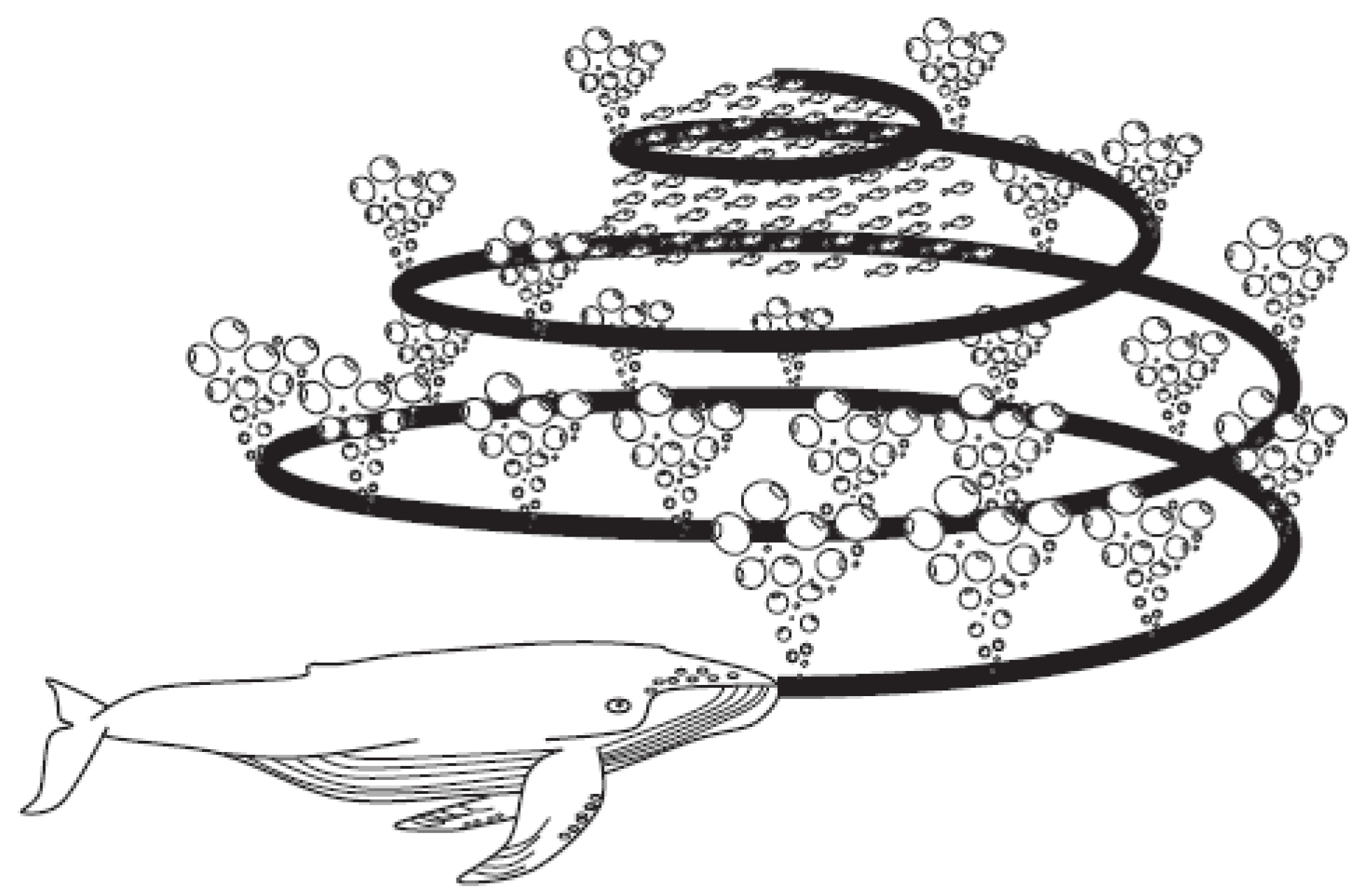 Sensors 21 08003 g001