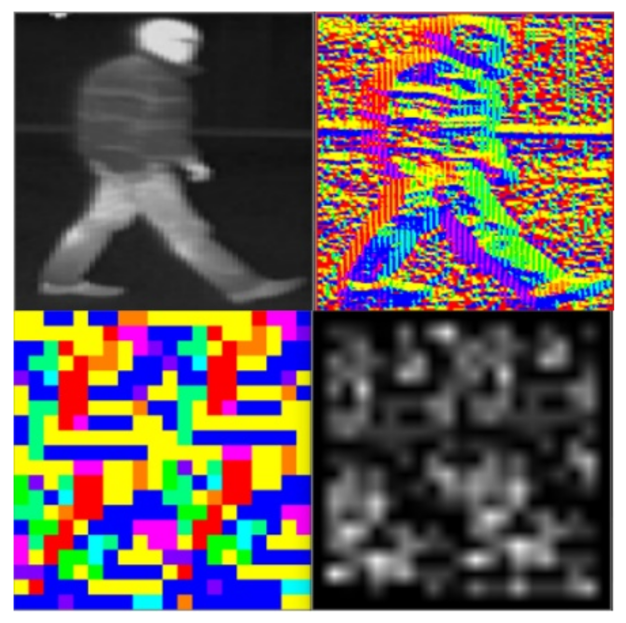 Sensors 21 08005 g004