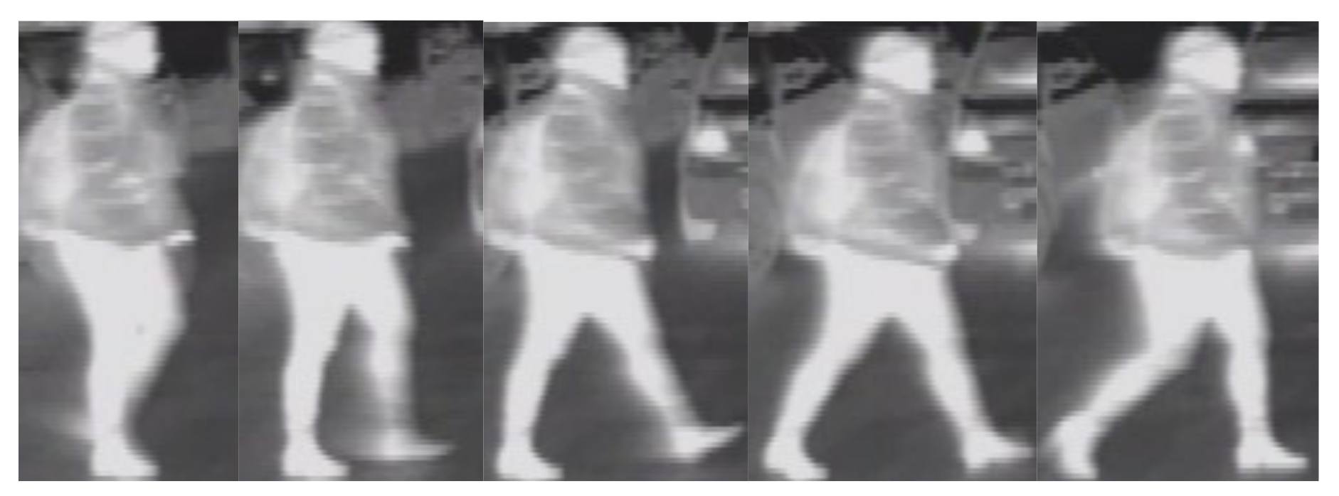 Sensors 21 08005 g008