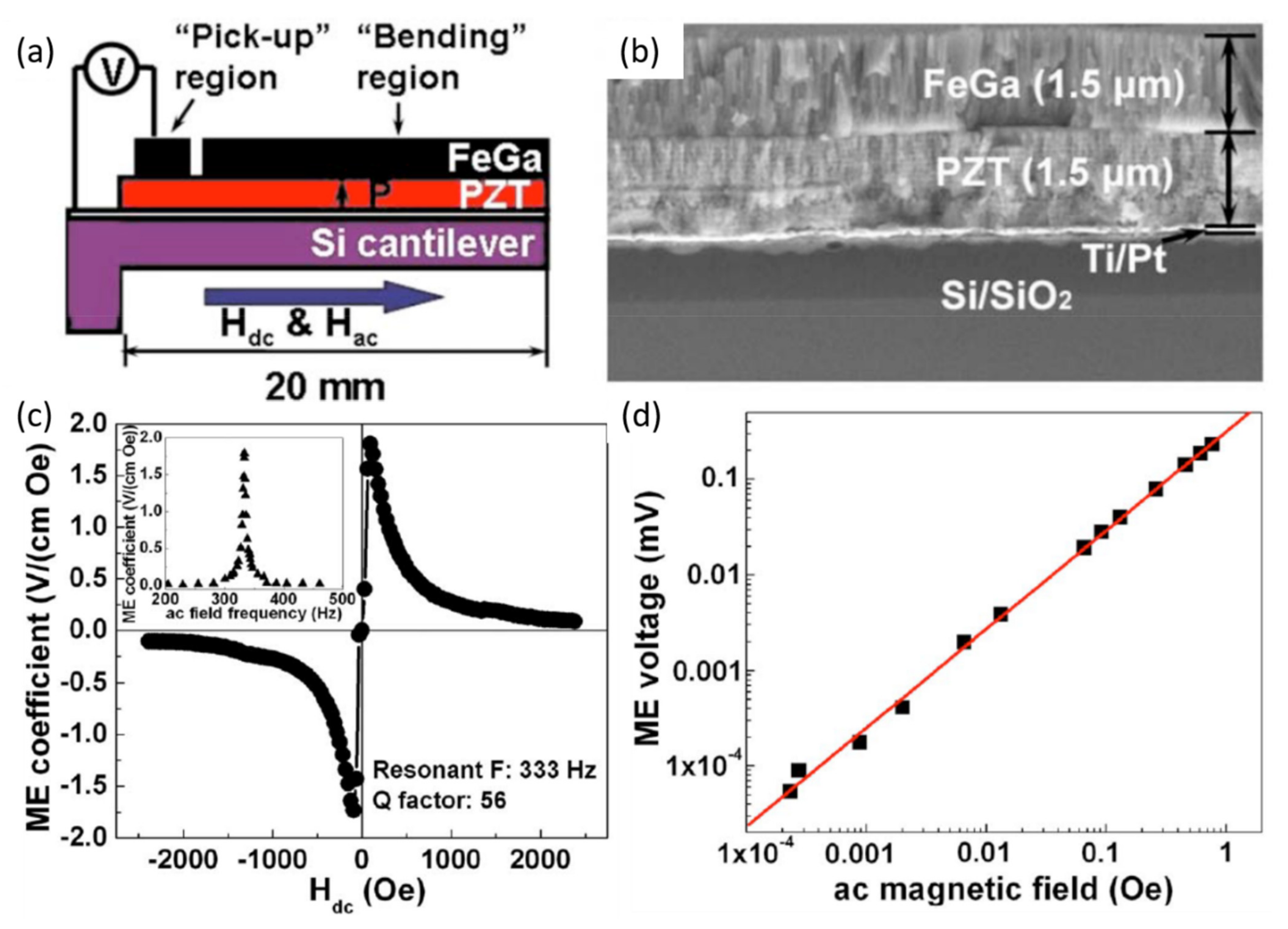 Sensors 21 08012 g002