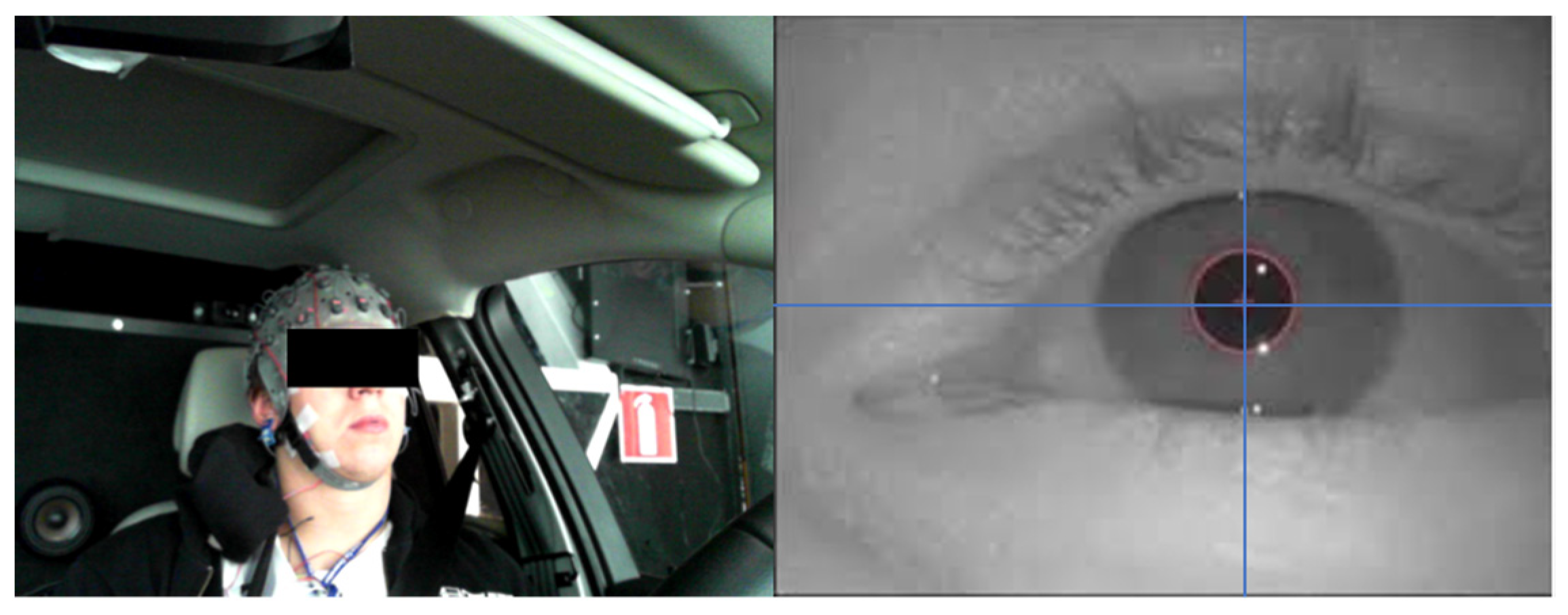 Sensors 21 08019 g002