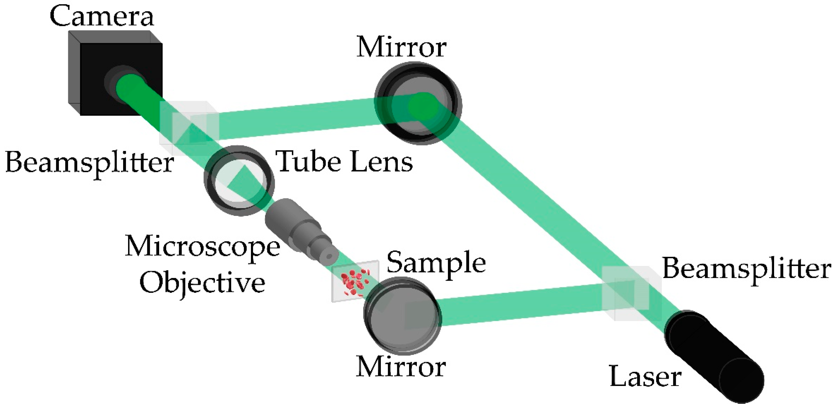 Sensors 21 08021 g001