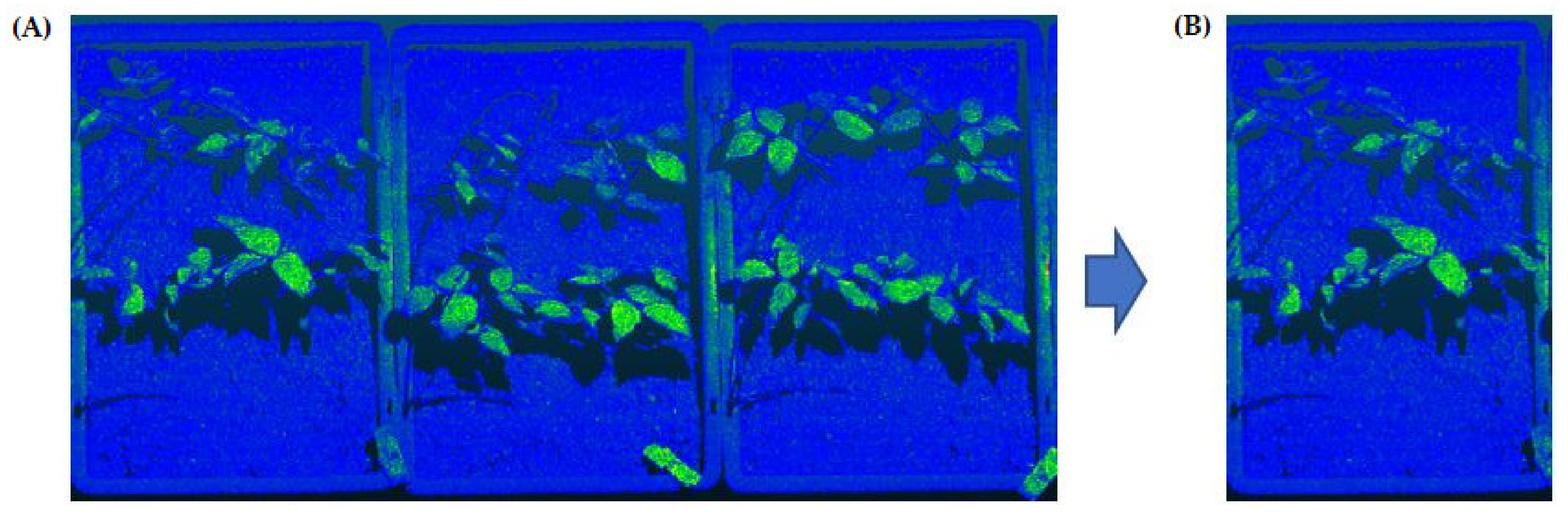 Sensors 21 08022 g002 Sensors 21 08022 g002