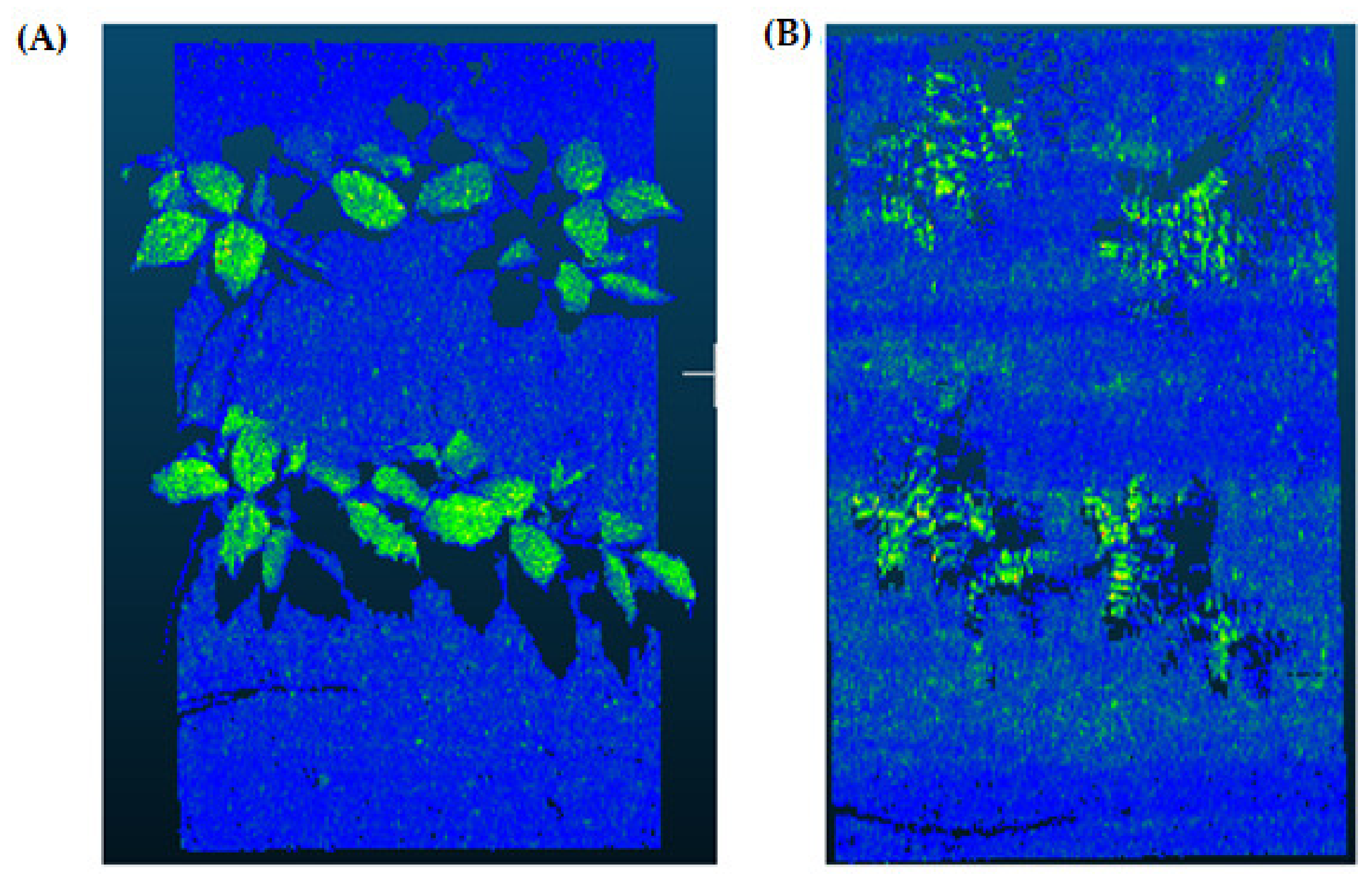 Sensors 21 08022 g003 Sensors 21 08022 g003