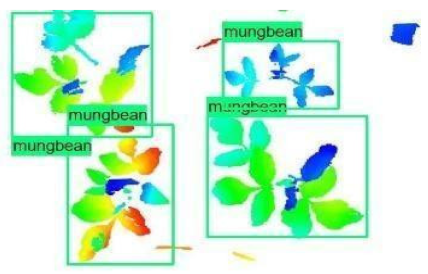 Sensors 21 08022 i004