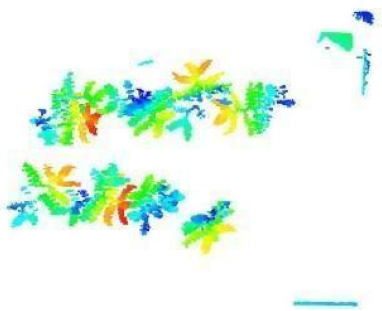 Sensors 21 08022 i018