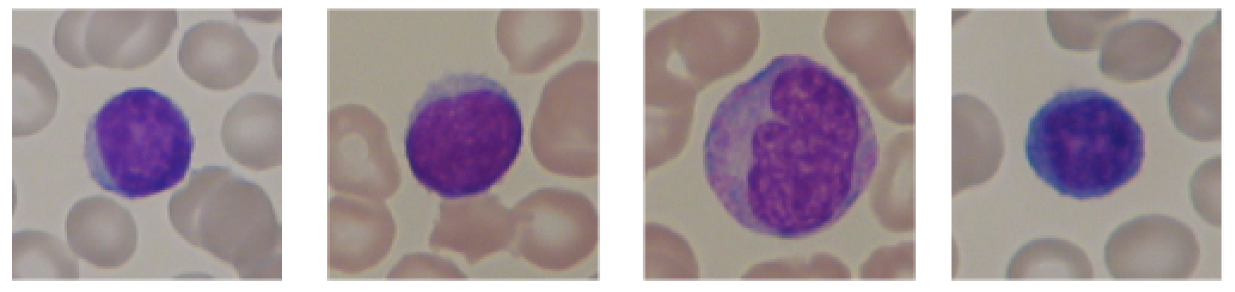 Sensors 21 08025 g002