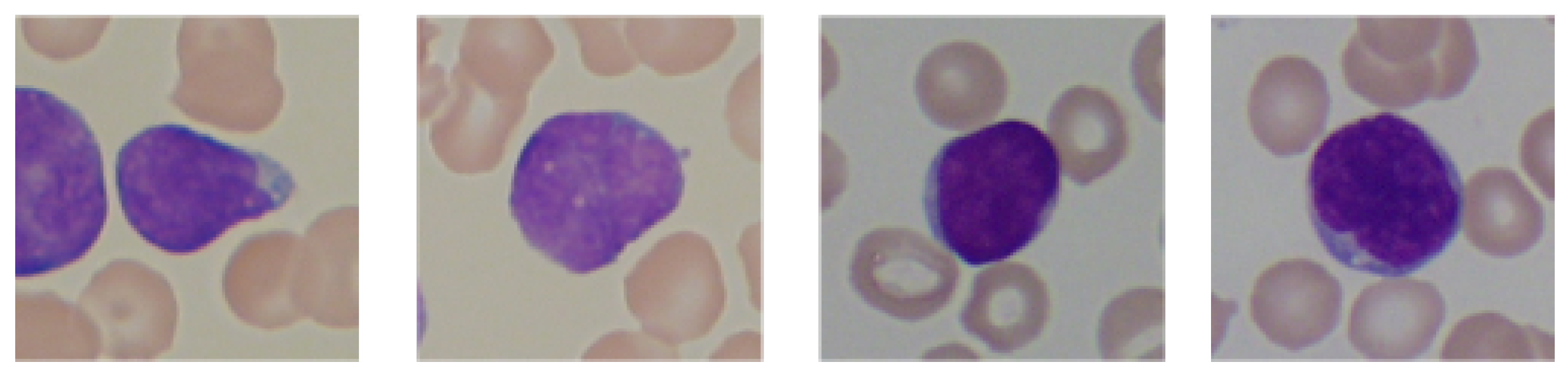 Sensors 21 08025 g003