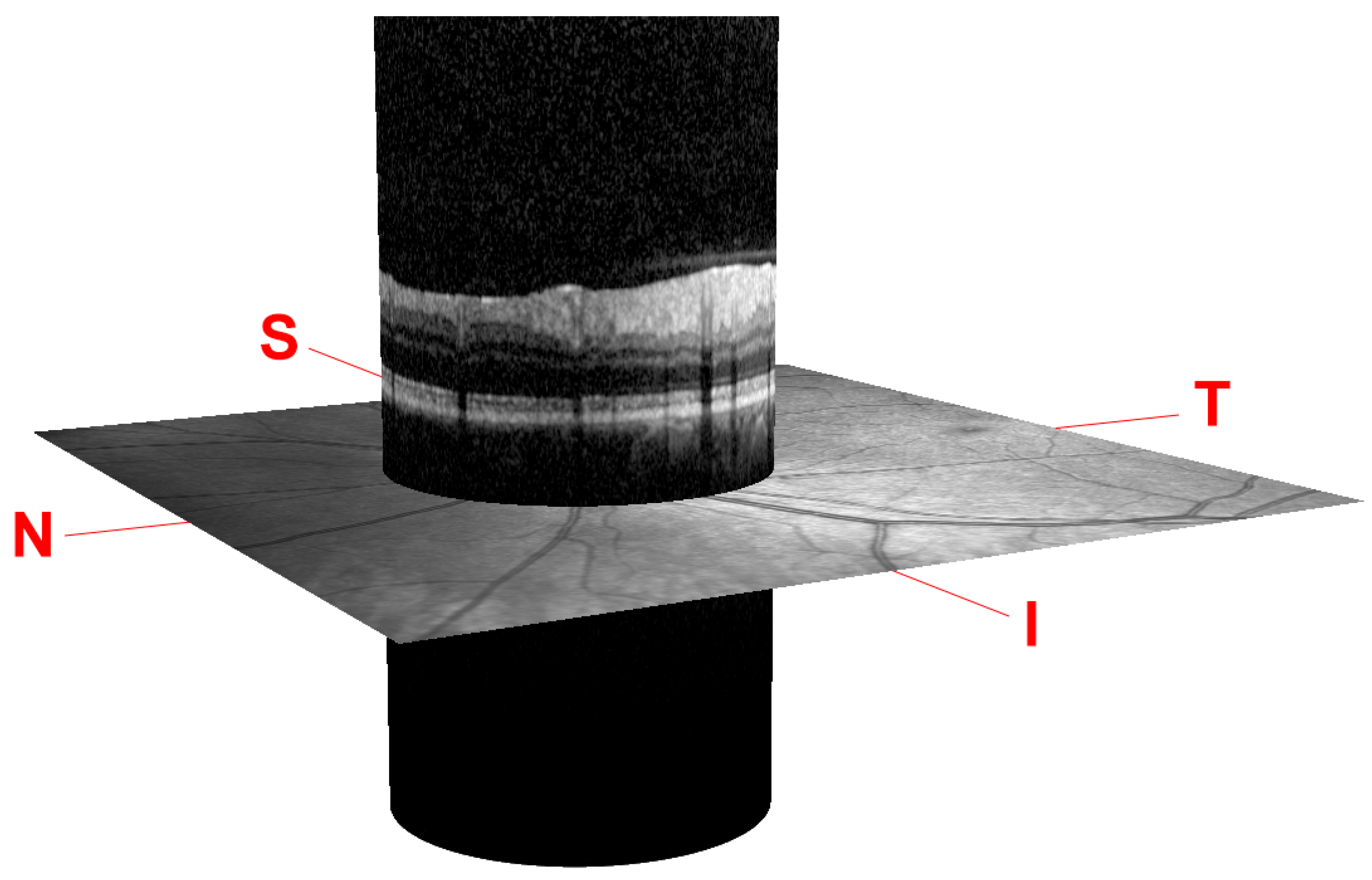 Sensors 21 08027 g001