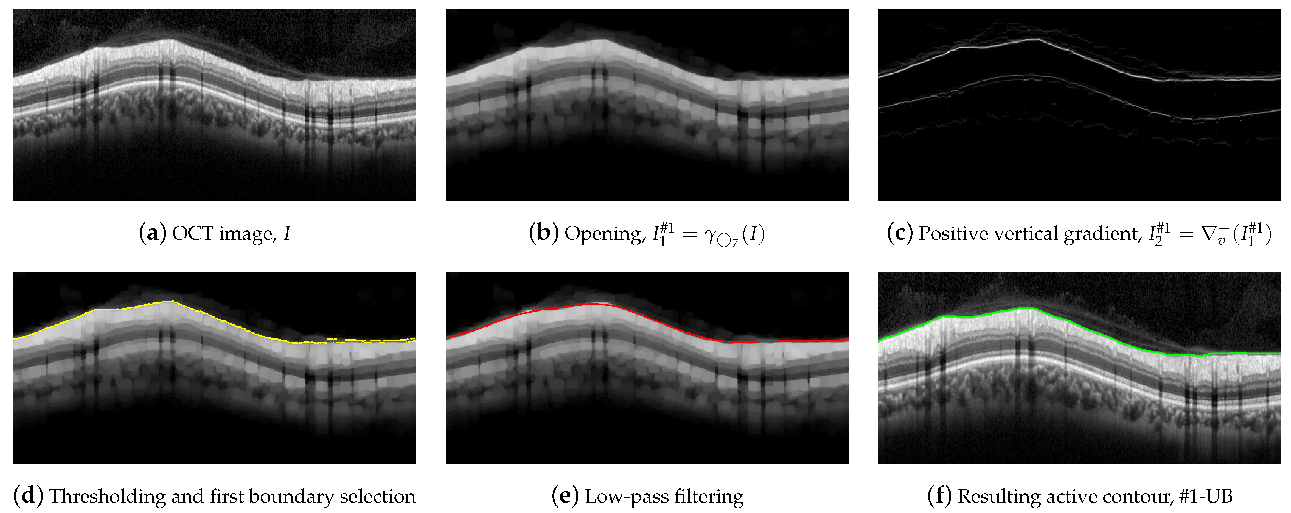 Sensors 21 08027 g007