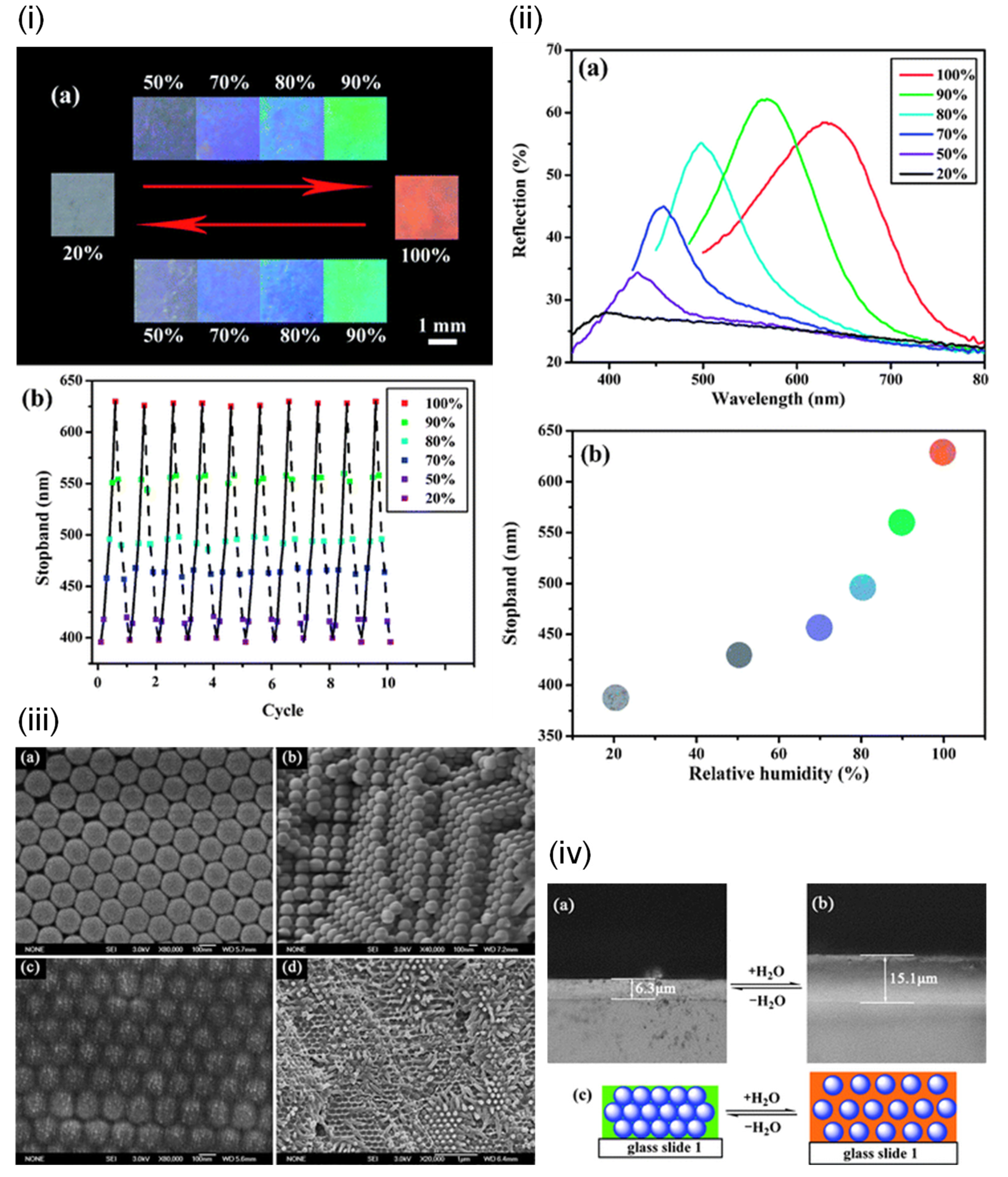 Sensors 21 08049 g004 Sensors 21 08049 g004