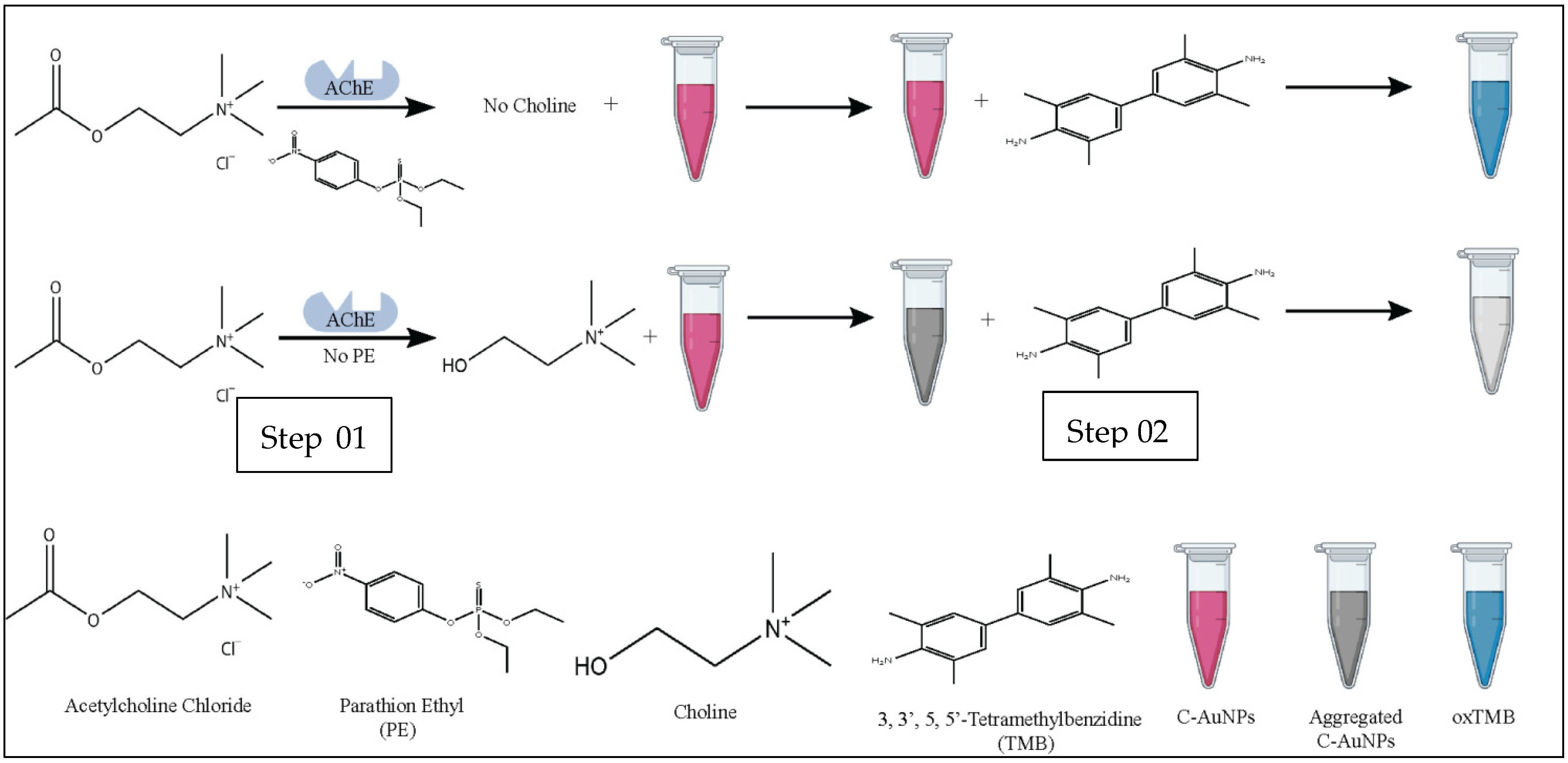 Sensors 21 08050 g001