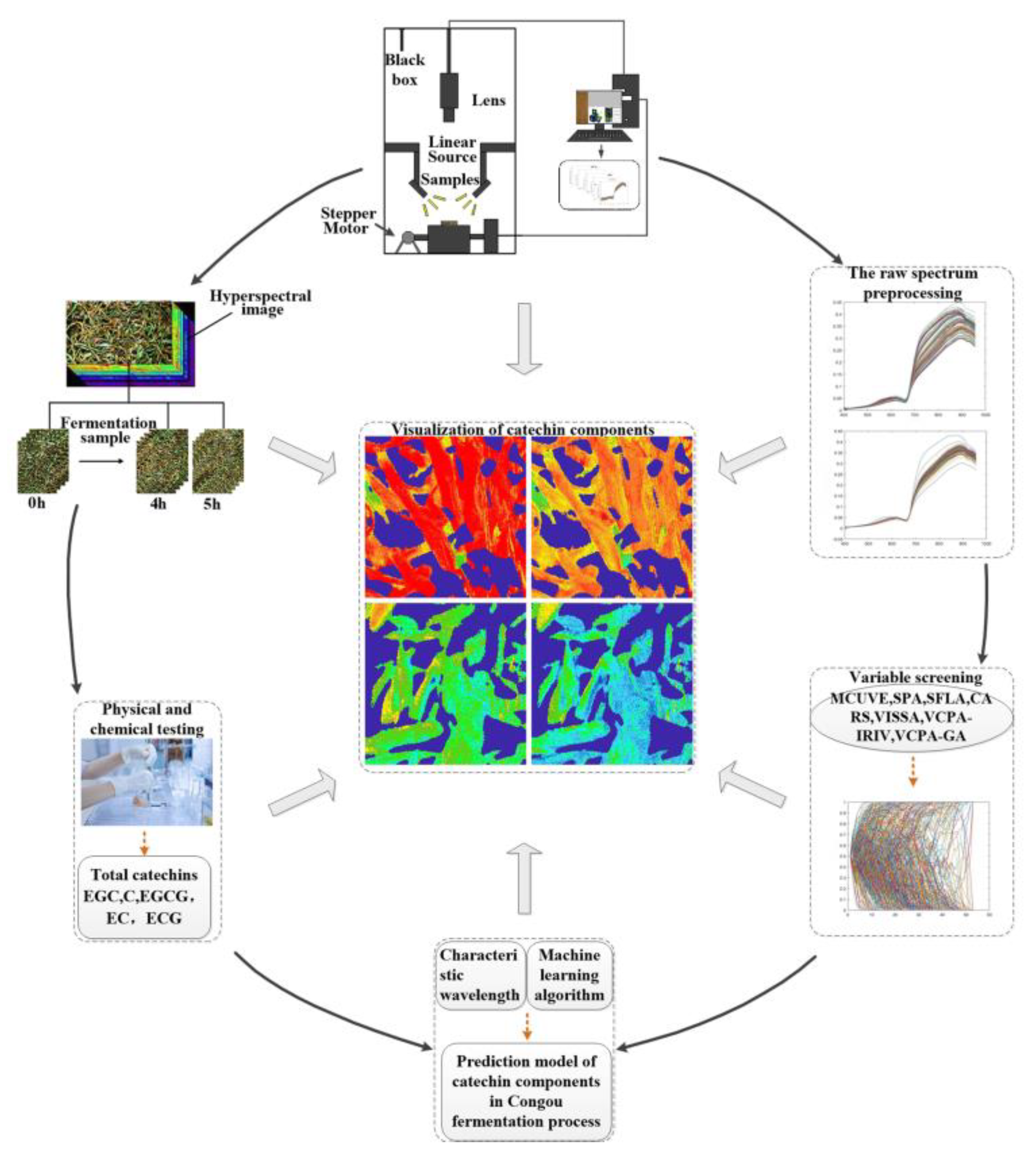 Sensors 21 08051 g001