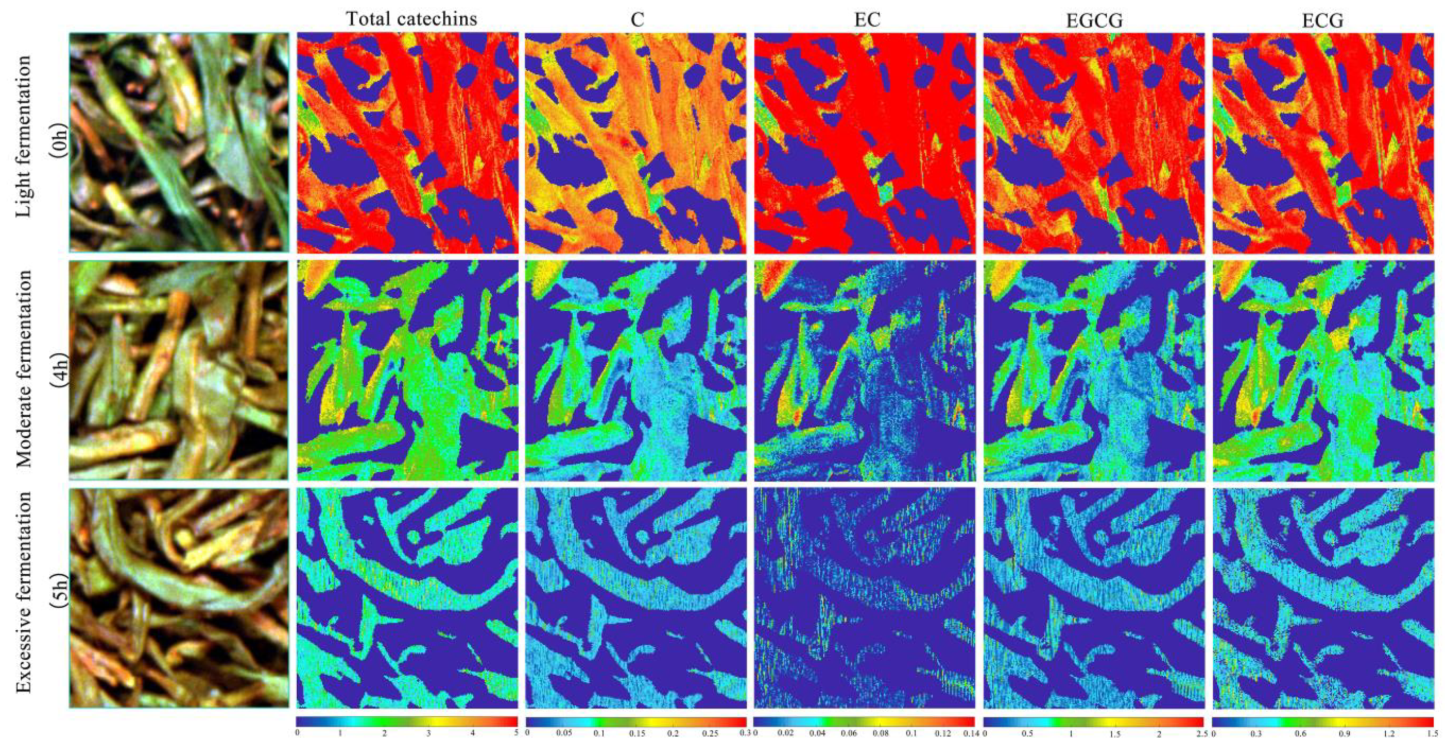 Sensors 21 08051 g006