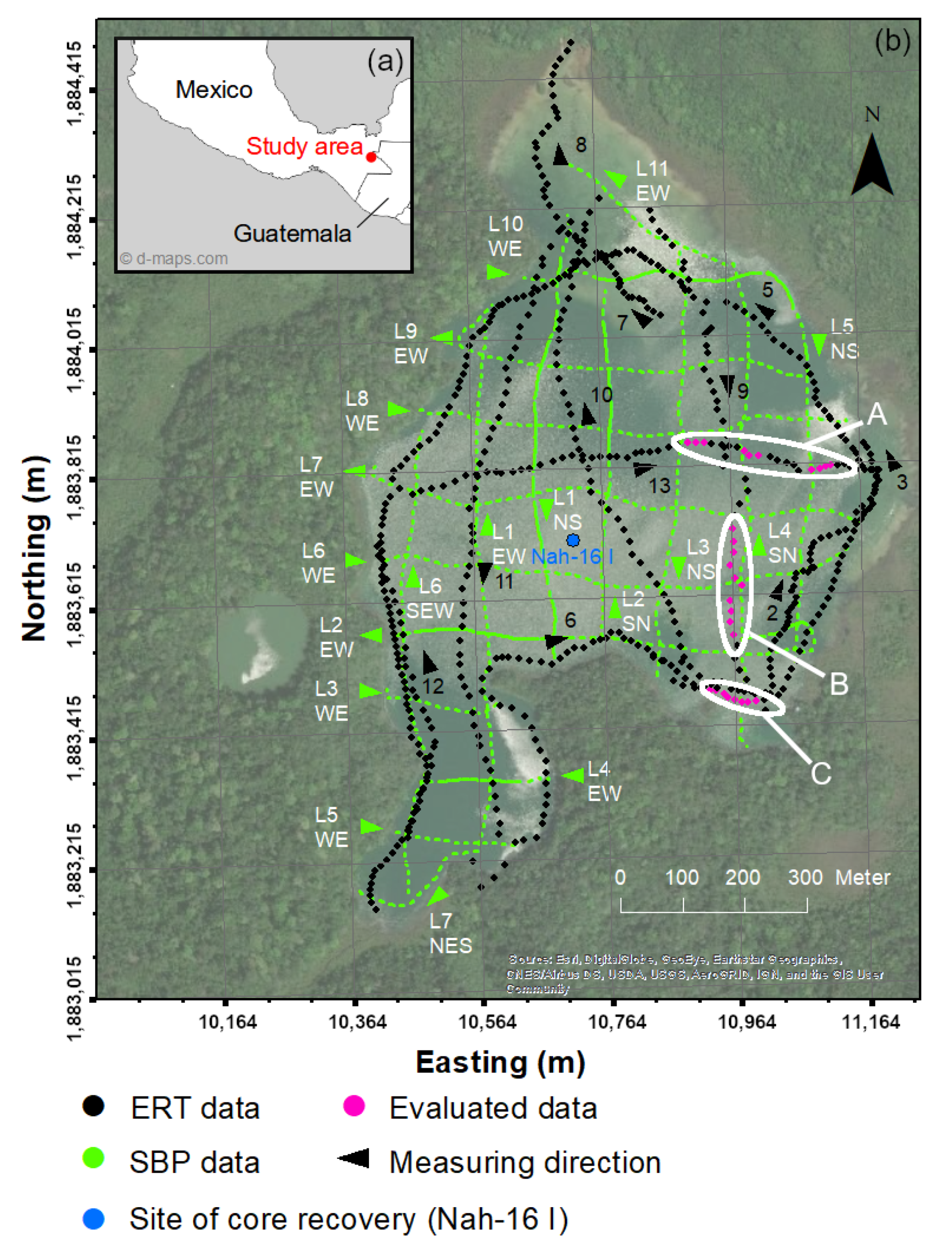 Sensors 21 08053 g001