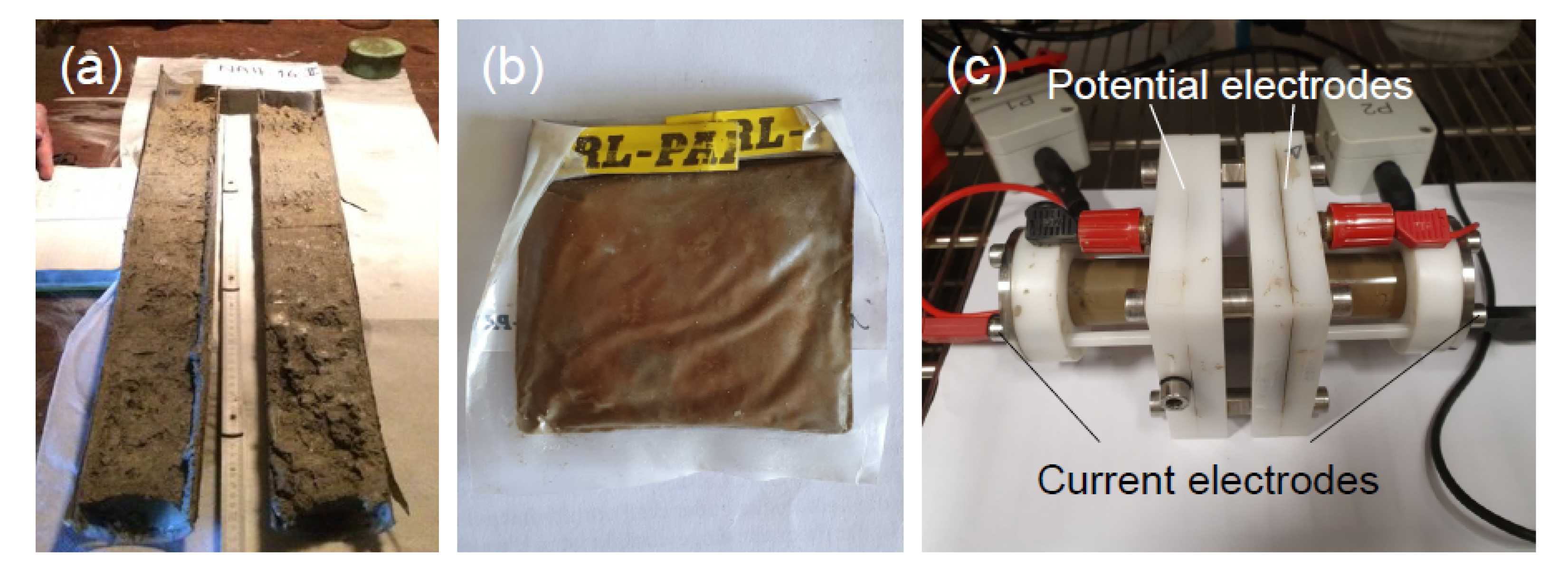 Sensors 21 08053 g007