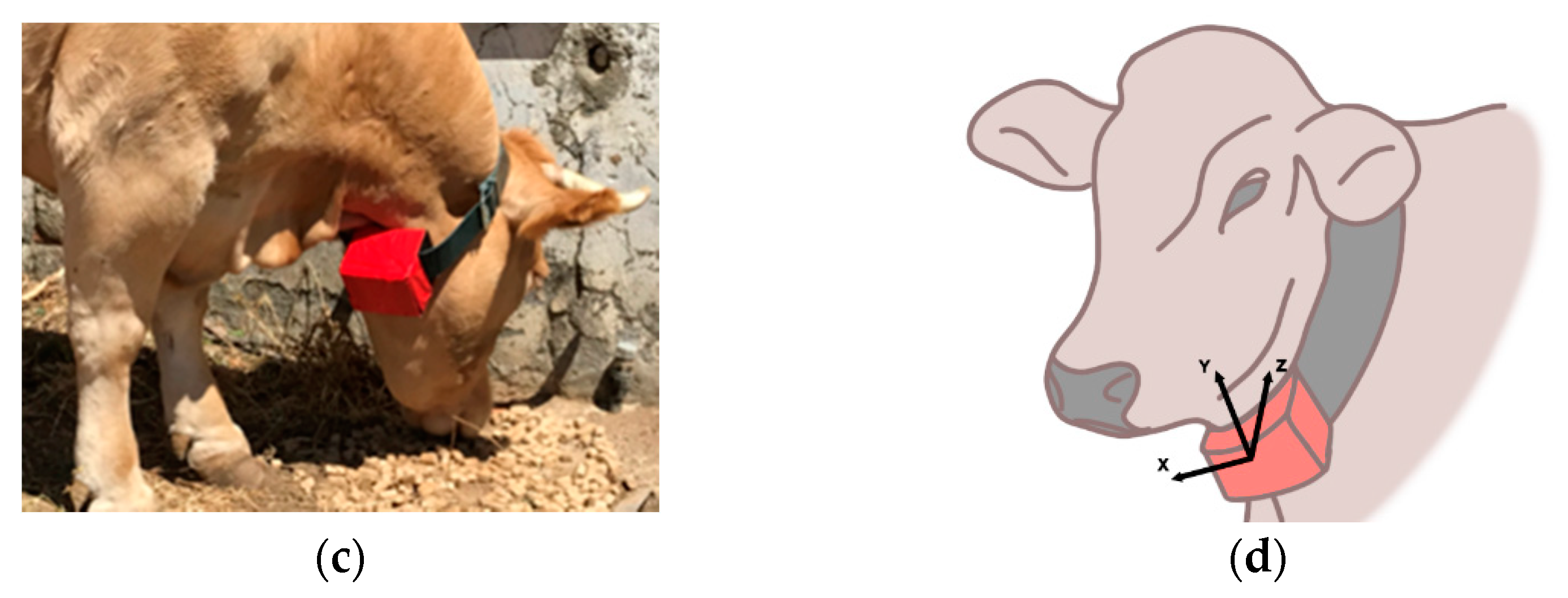 Sensors 21 08060 g002b