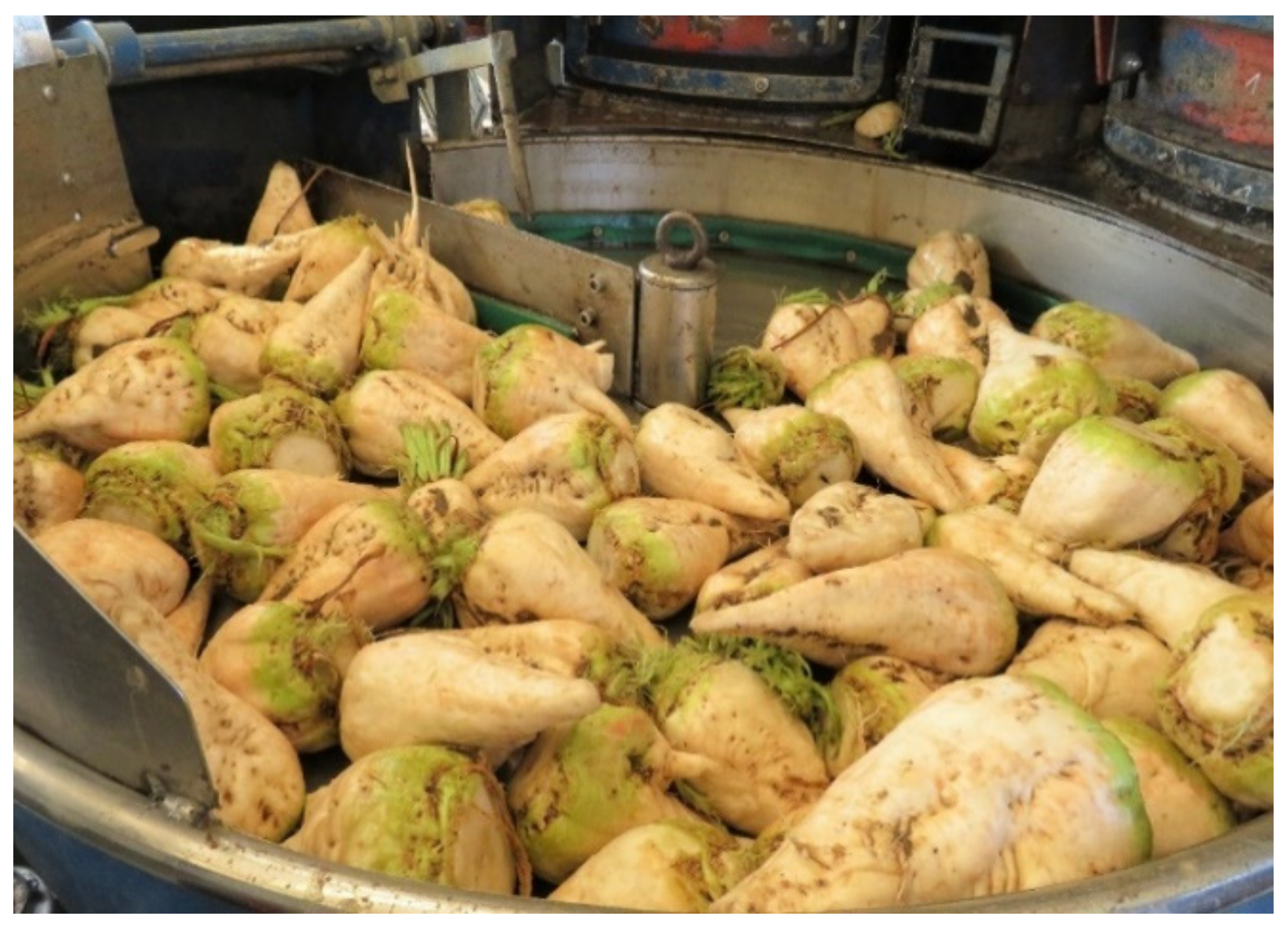 Sensors 21 08068 g002