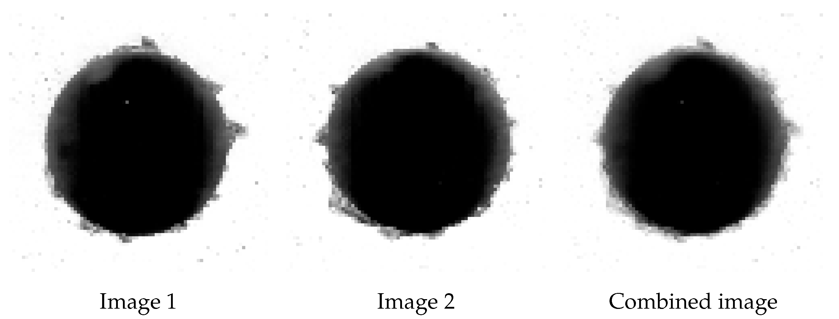 Sensors 21 08077 g005