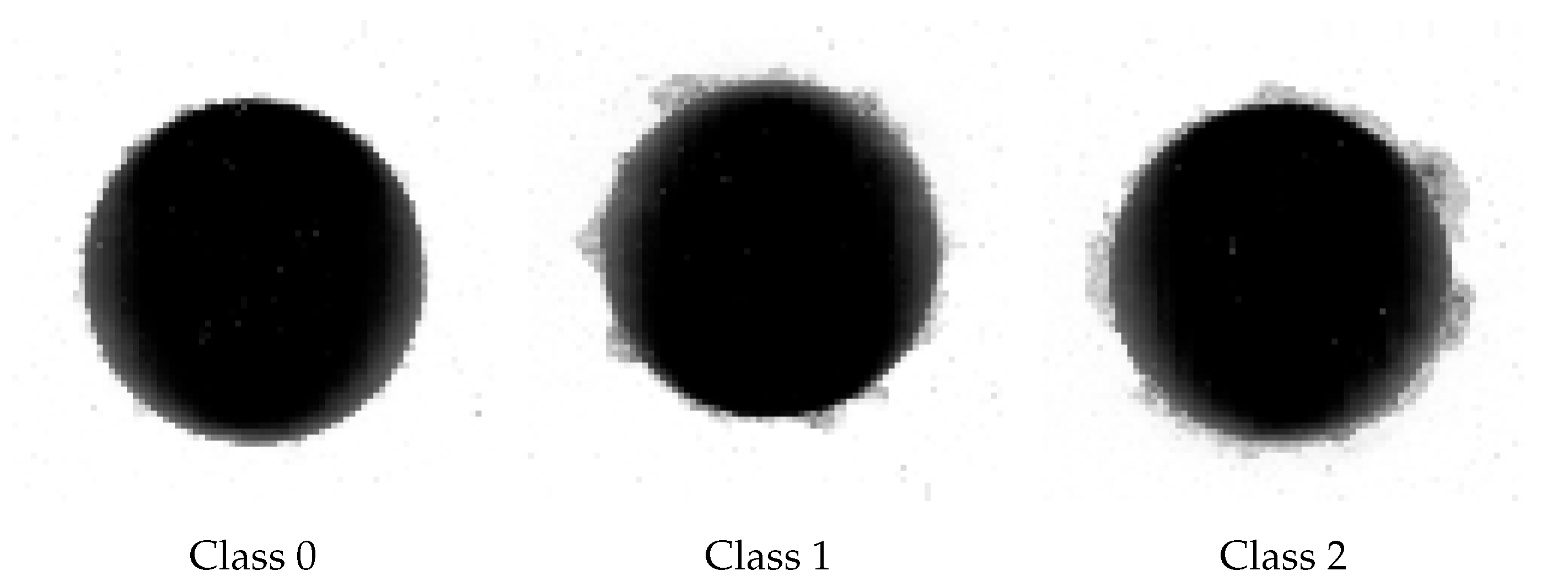 Sensors 21 08077 g006