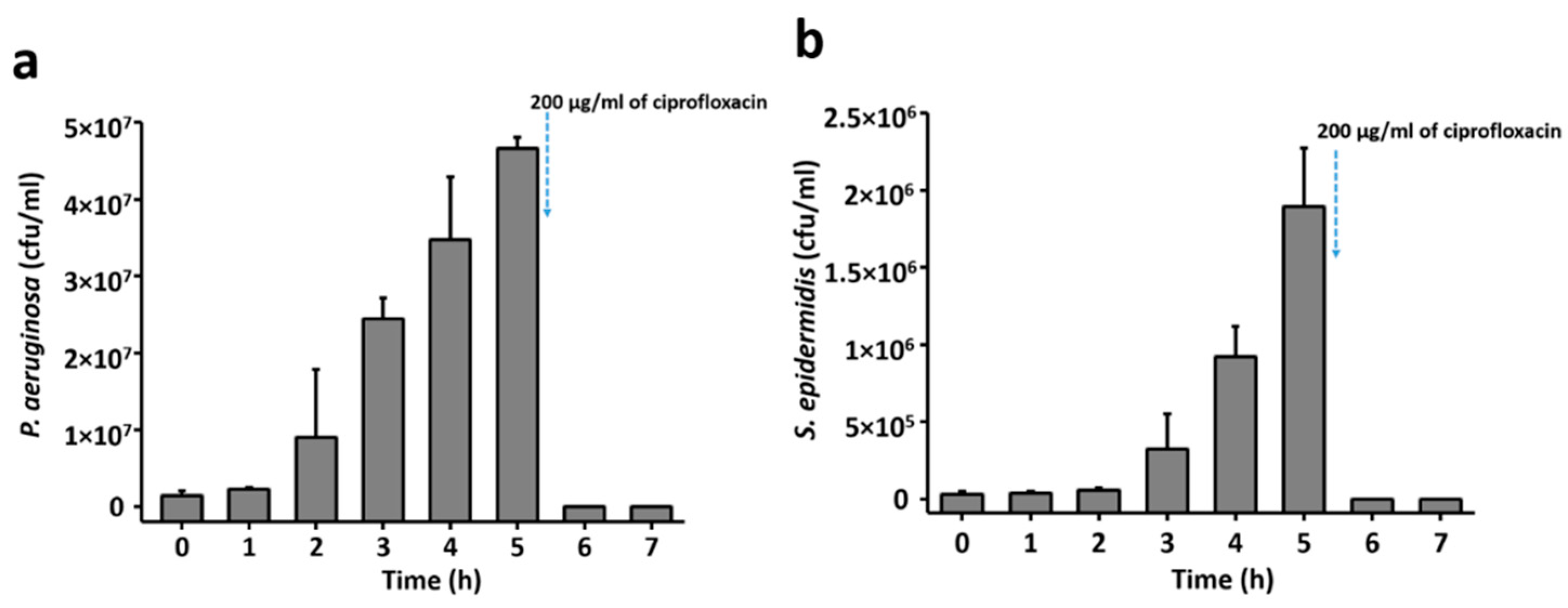 Sensors 21 08085 g004