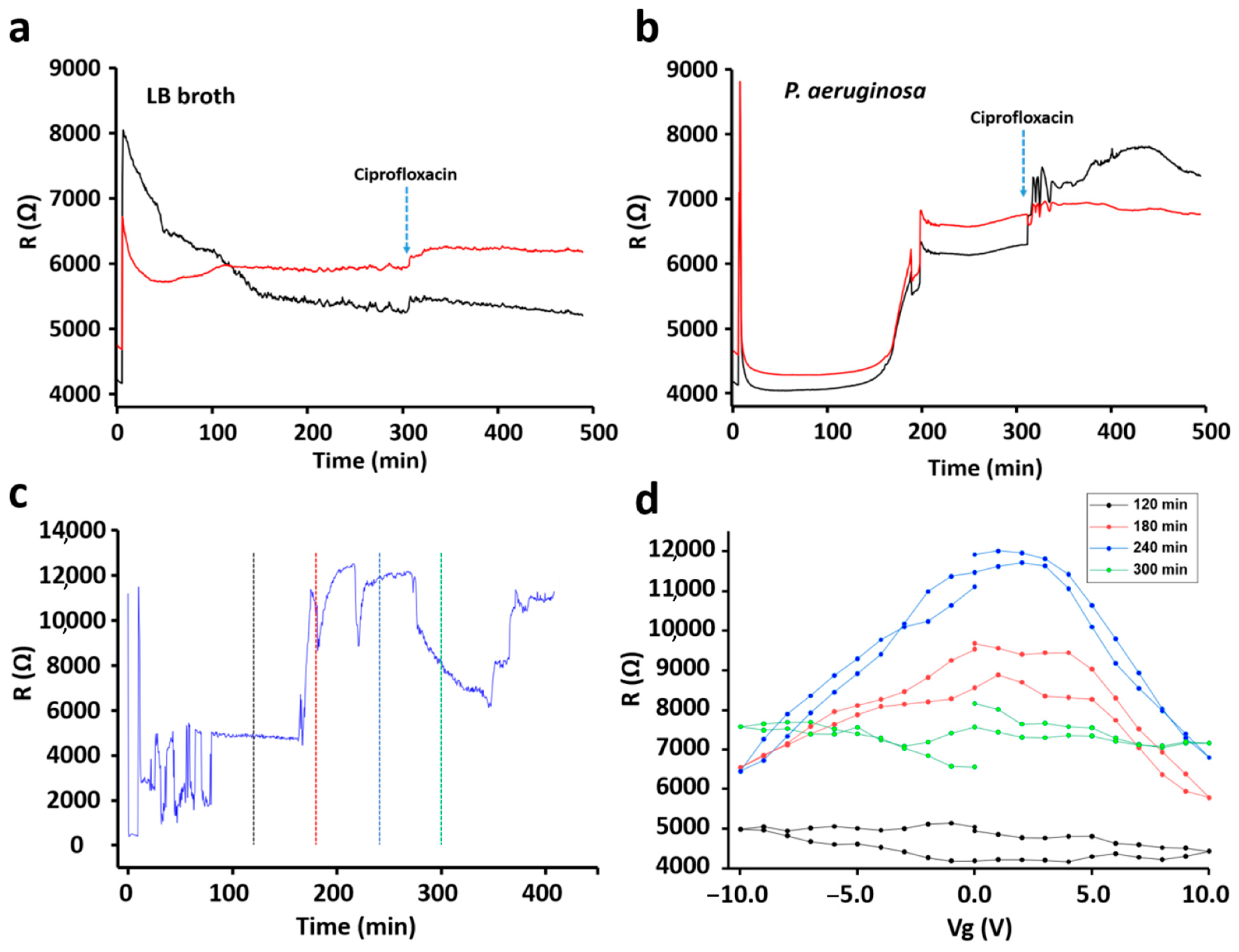 Sensors 21 08085 g005