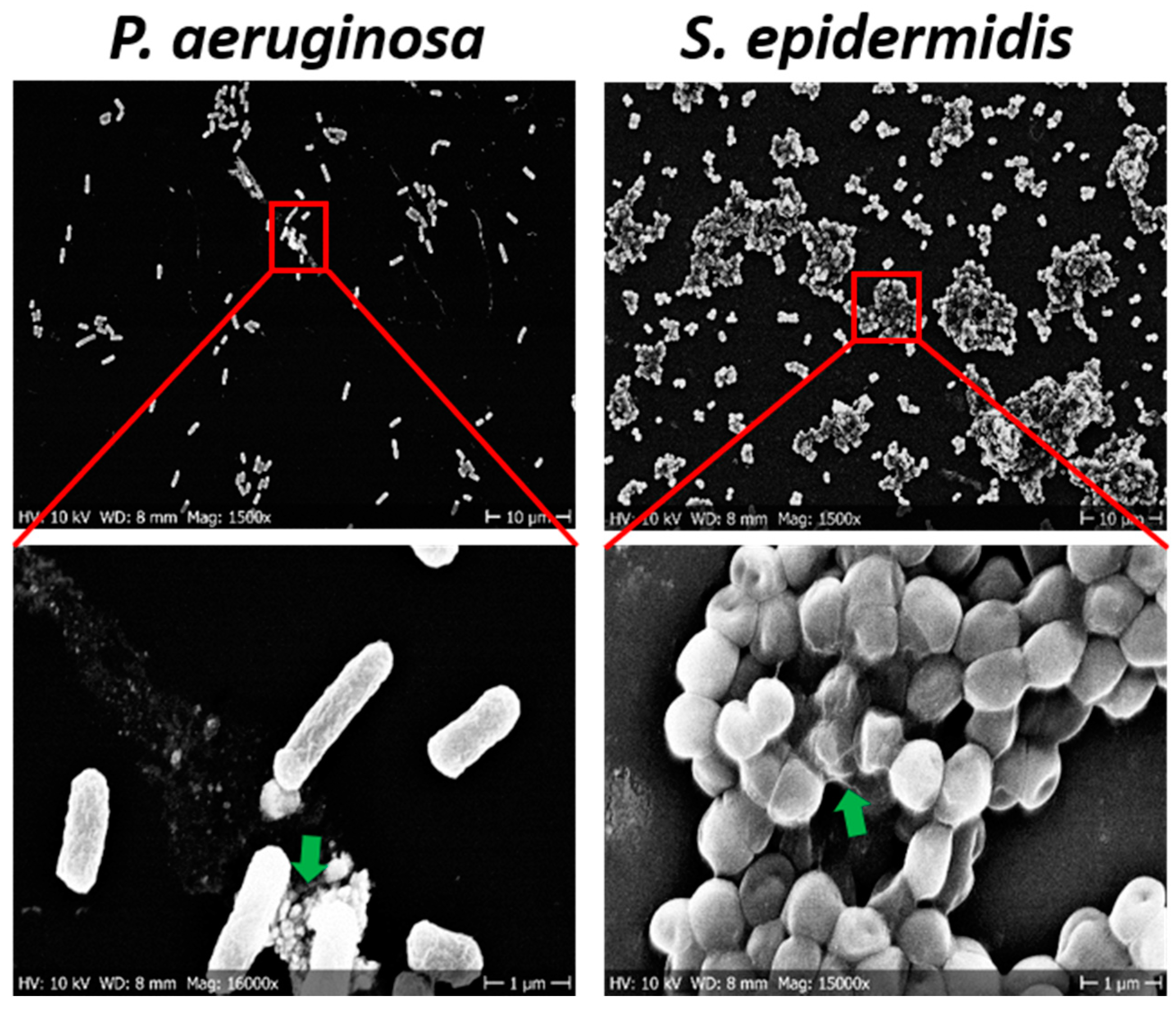 Sensors 21 08085 g008