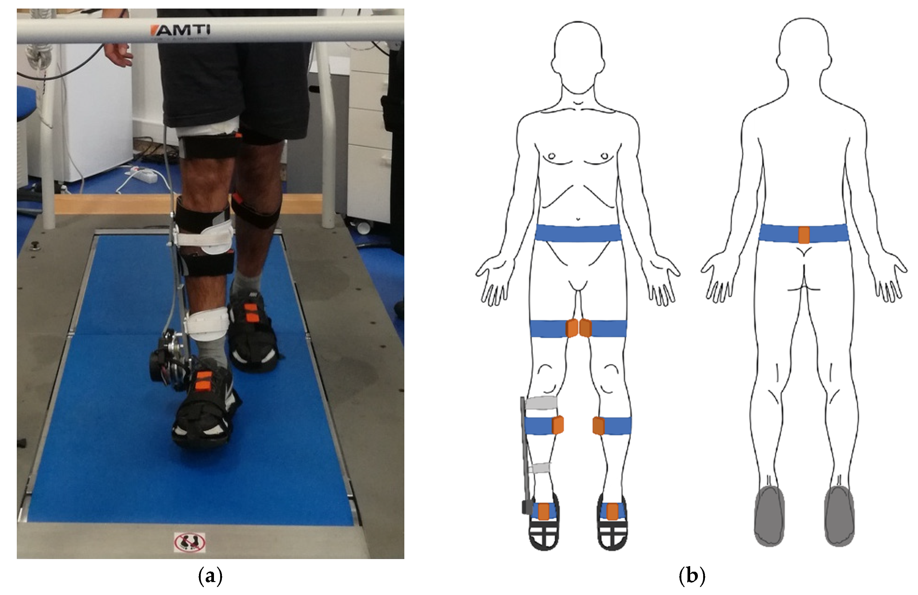 Sensors 21 08089 g001