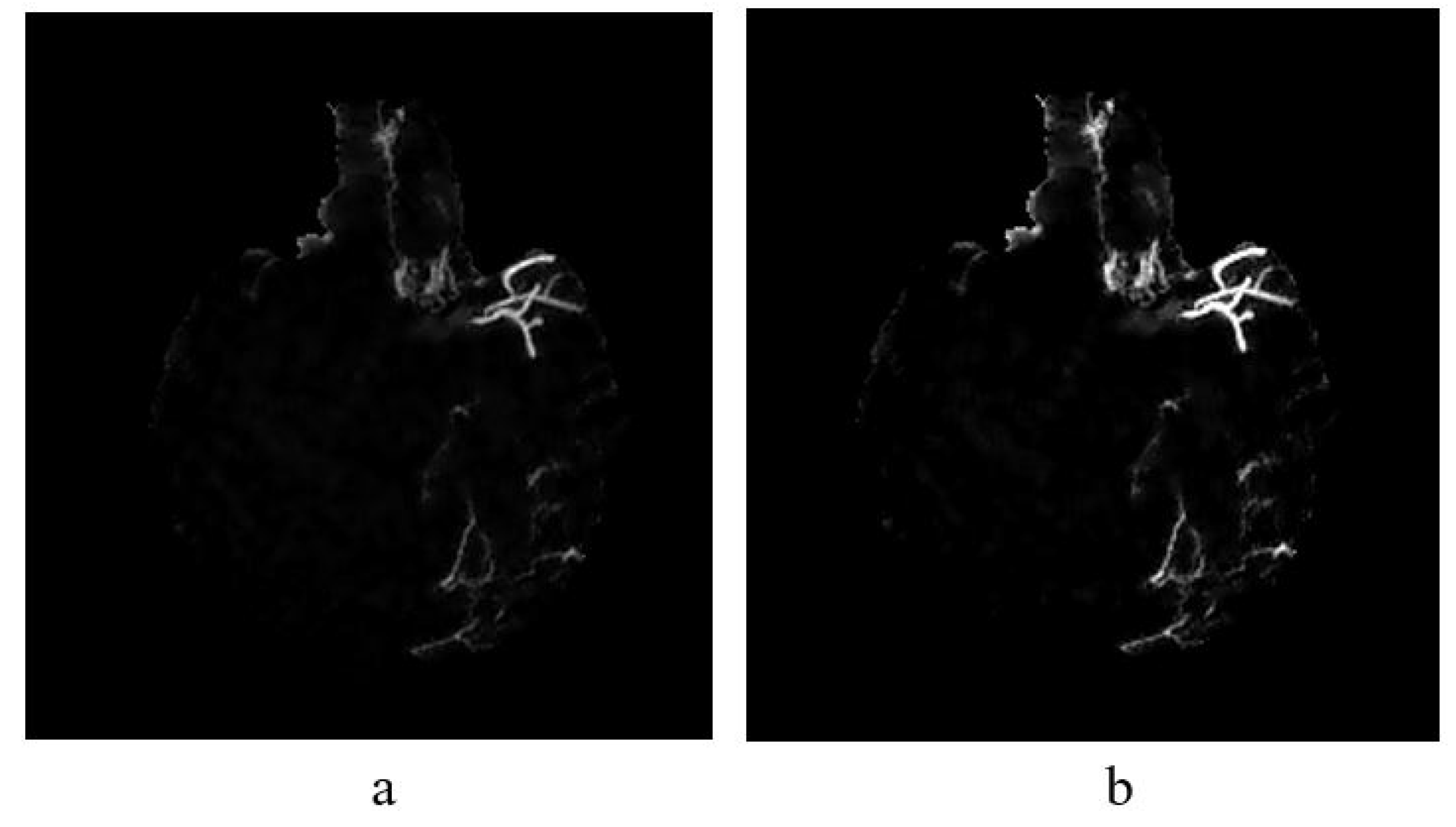 Sensors 21 08099 g008