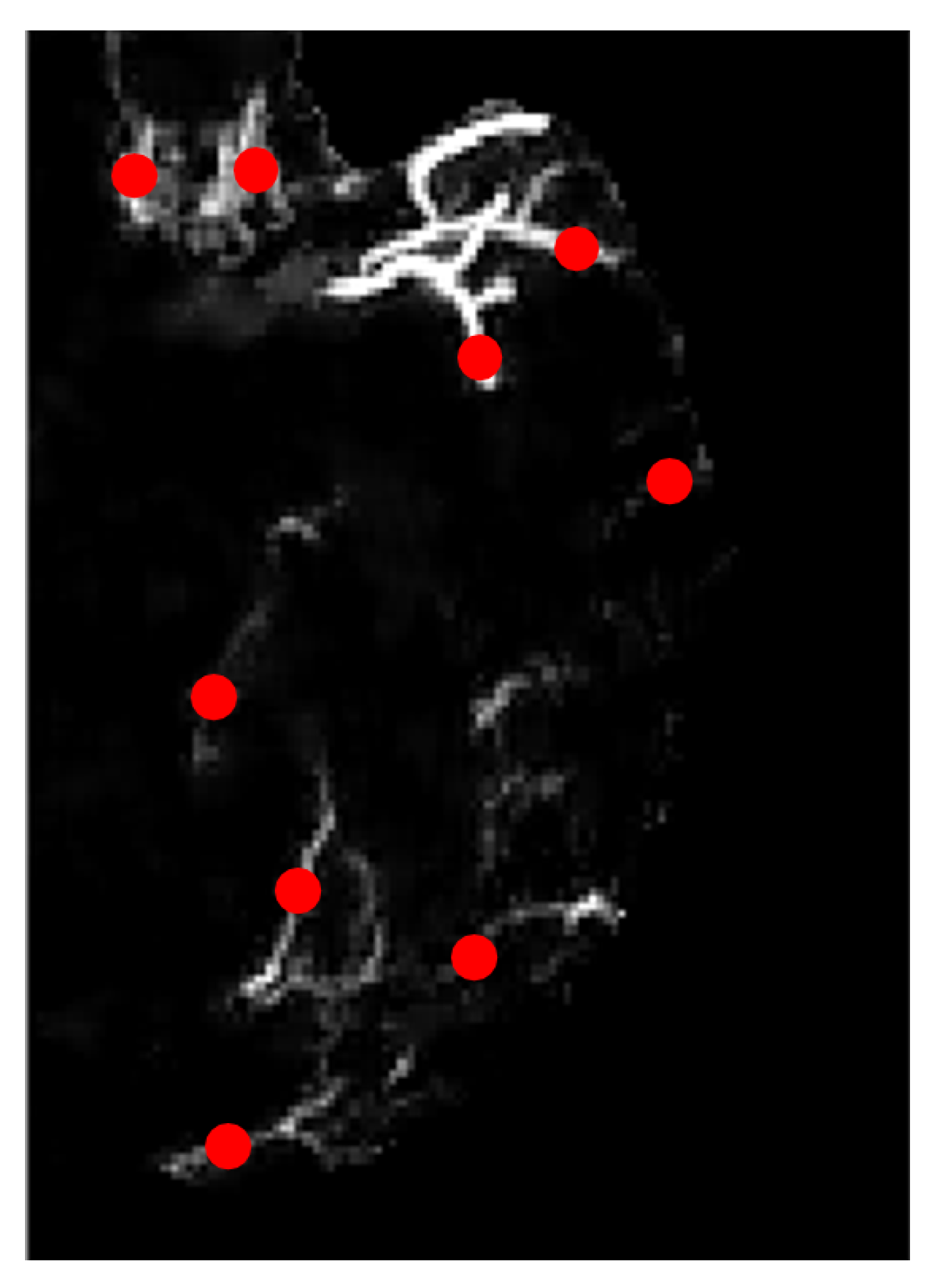 Sensors 21 08099 g009