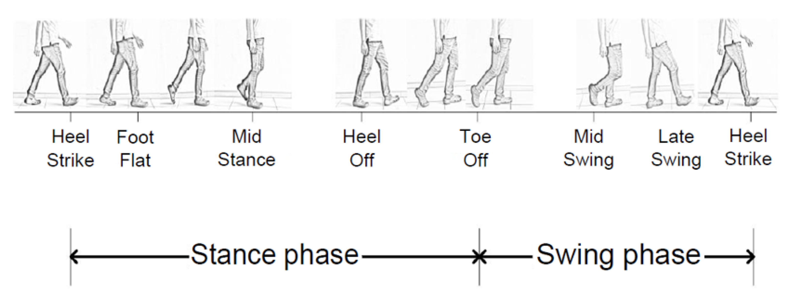 Sensors 21 08129 g002