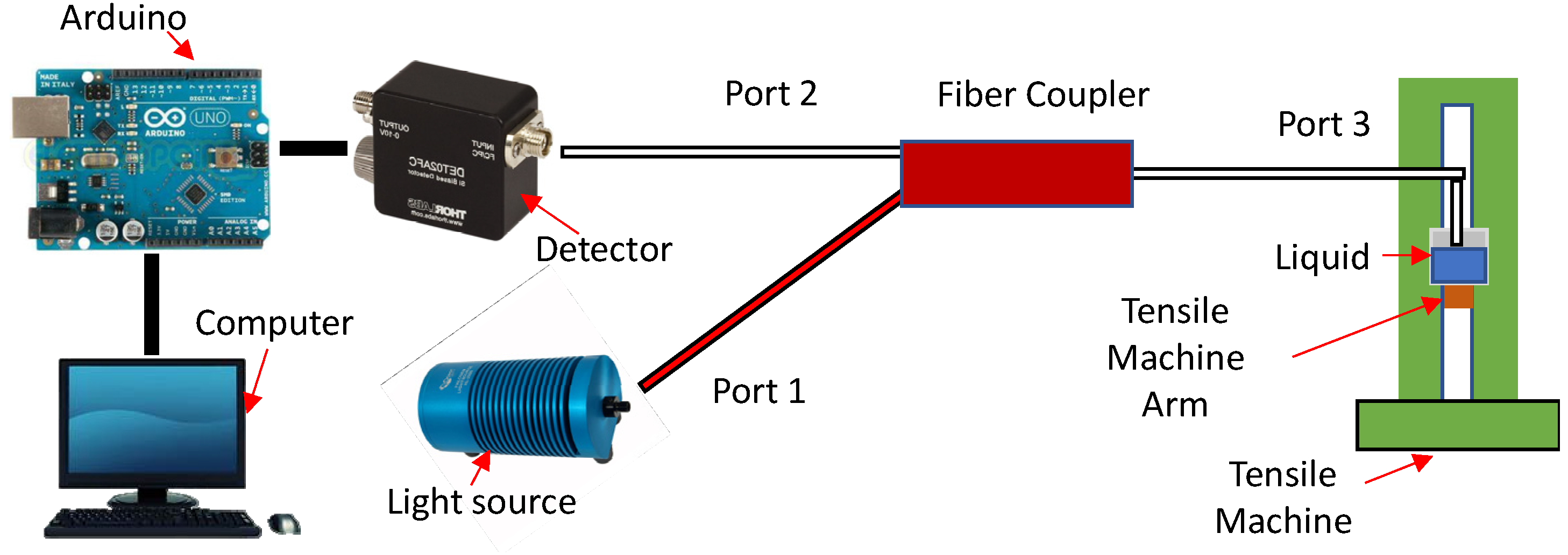 Sensors 21 08130 g006