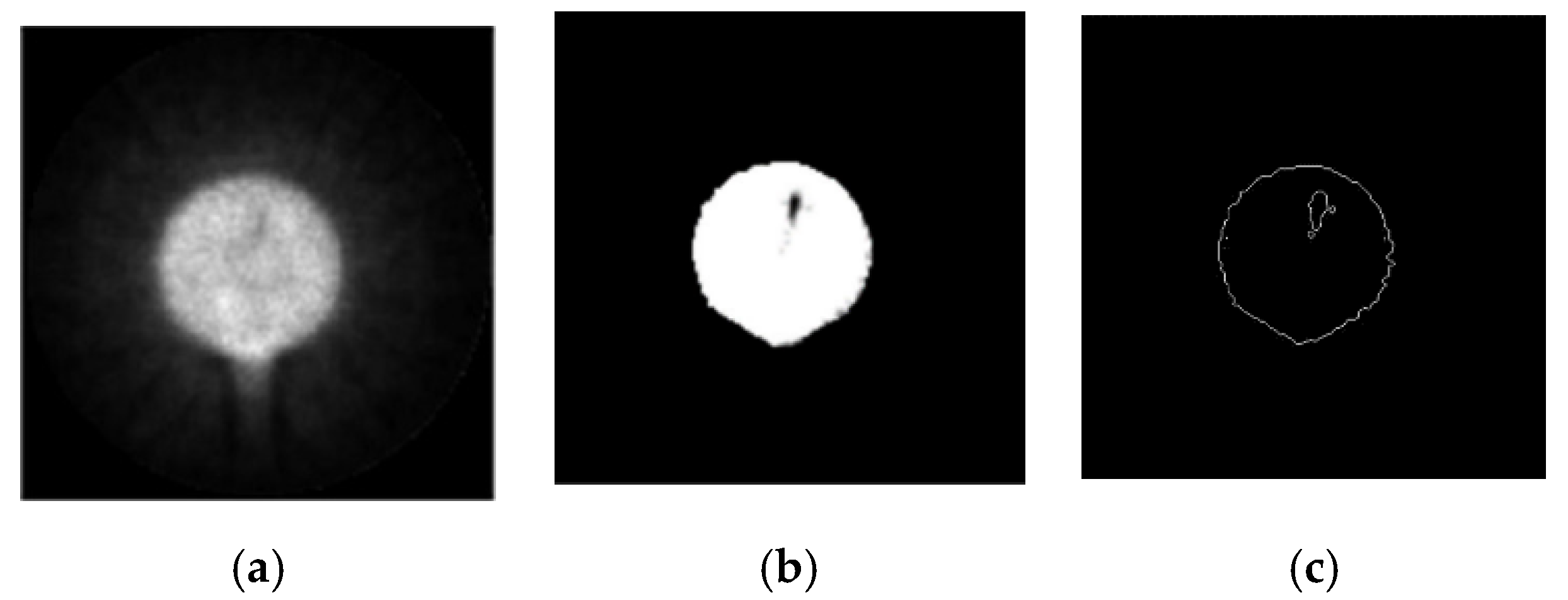 Sensors 21 08134 g024