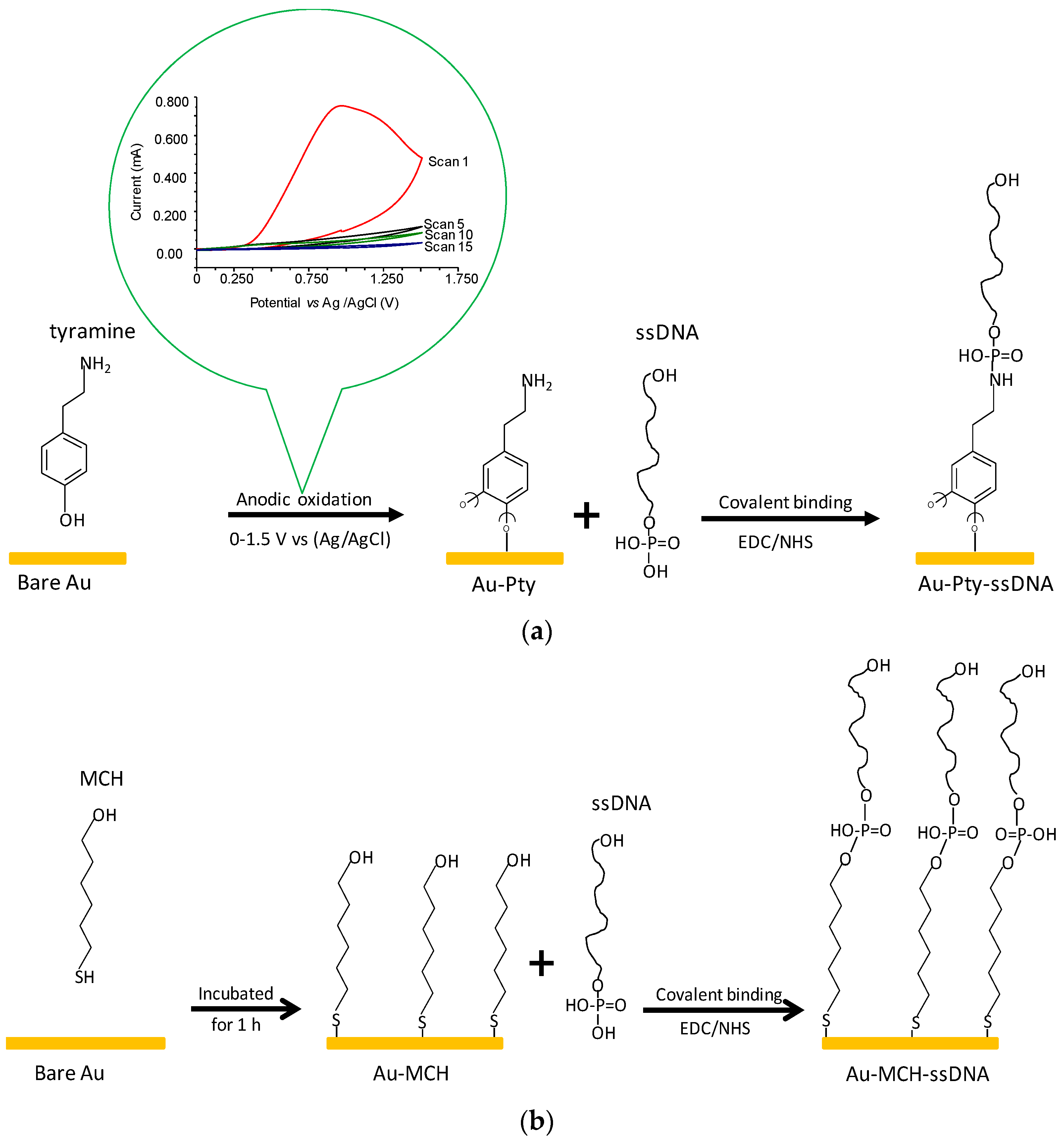 Sensors 21 08149 g001