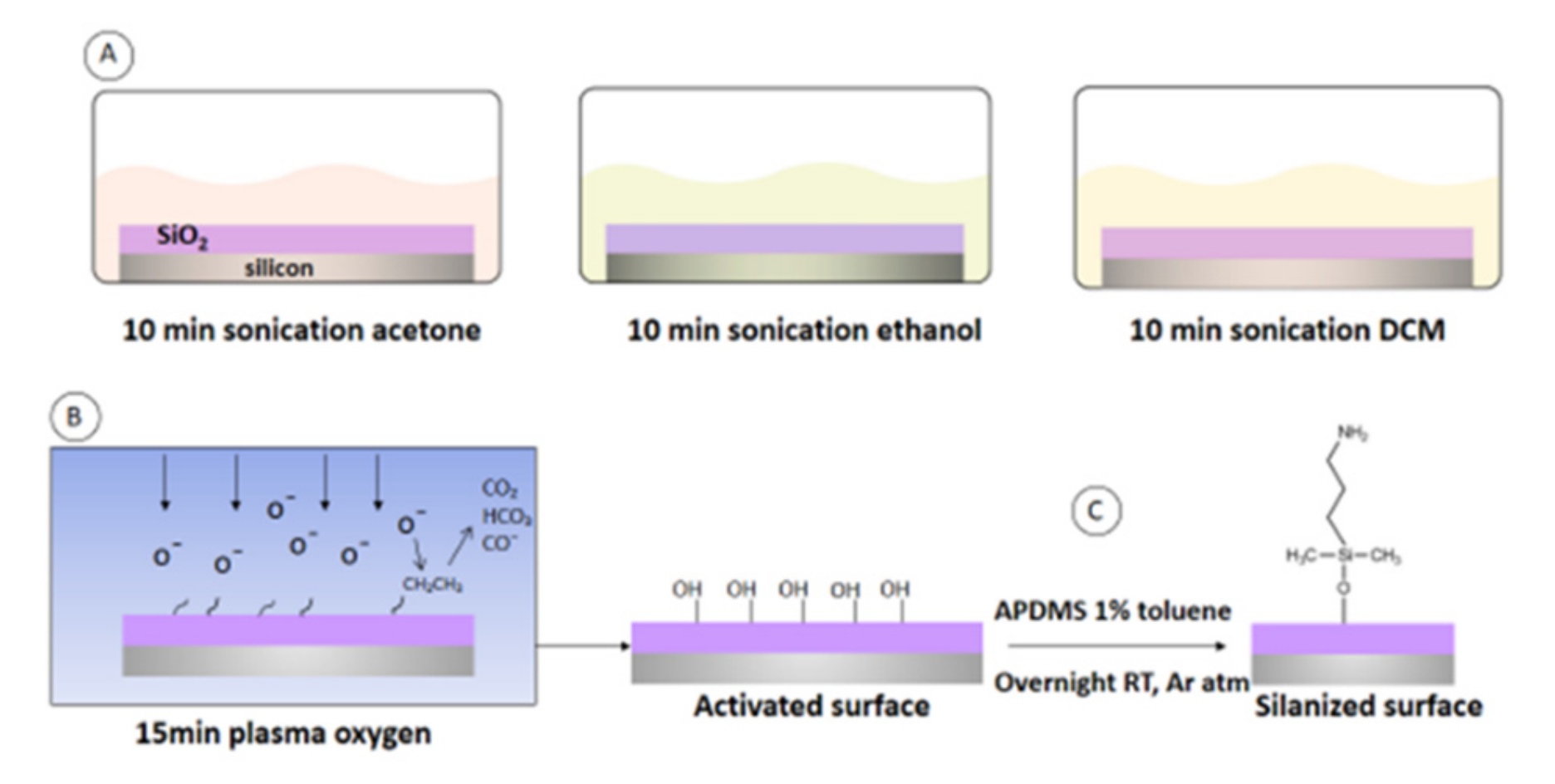 Sensors 21 08156 g001