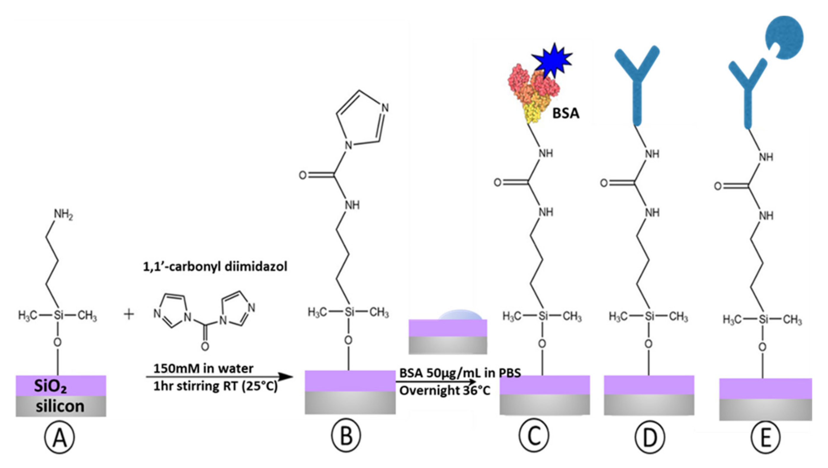 Sensors 21 08156 g002