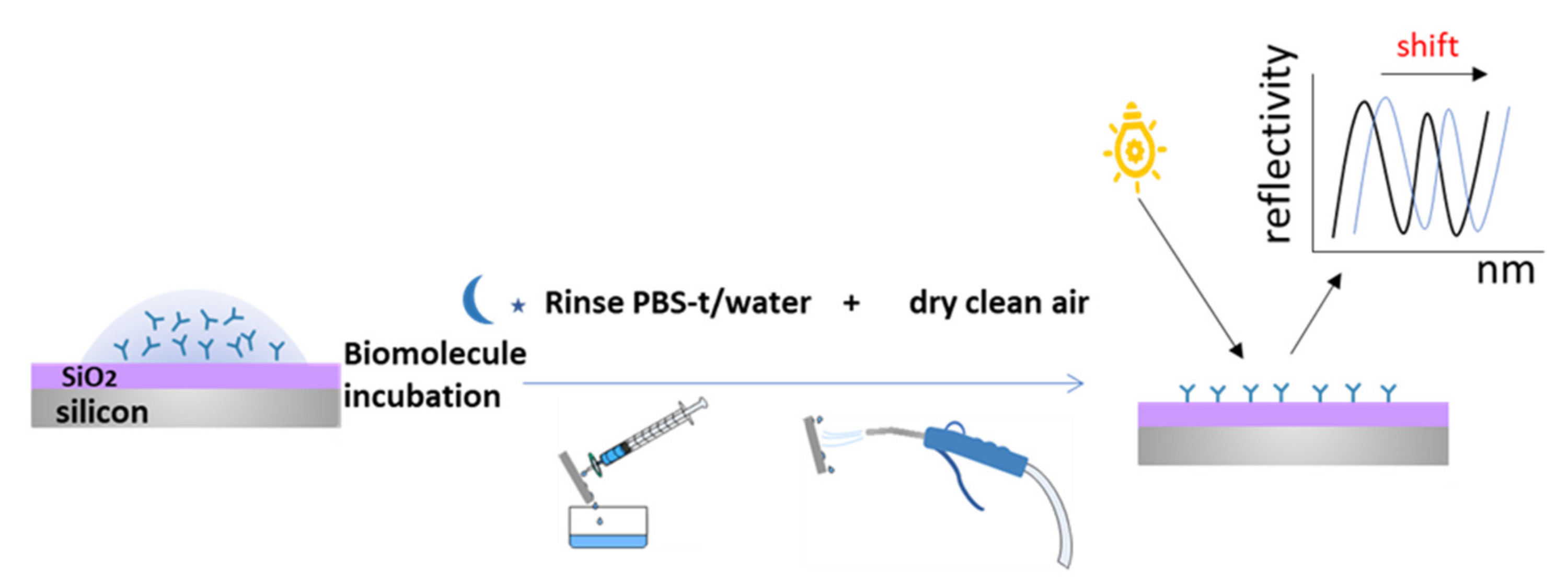 Sensors 21 08156 g003