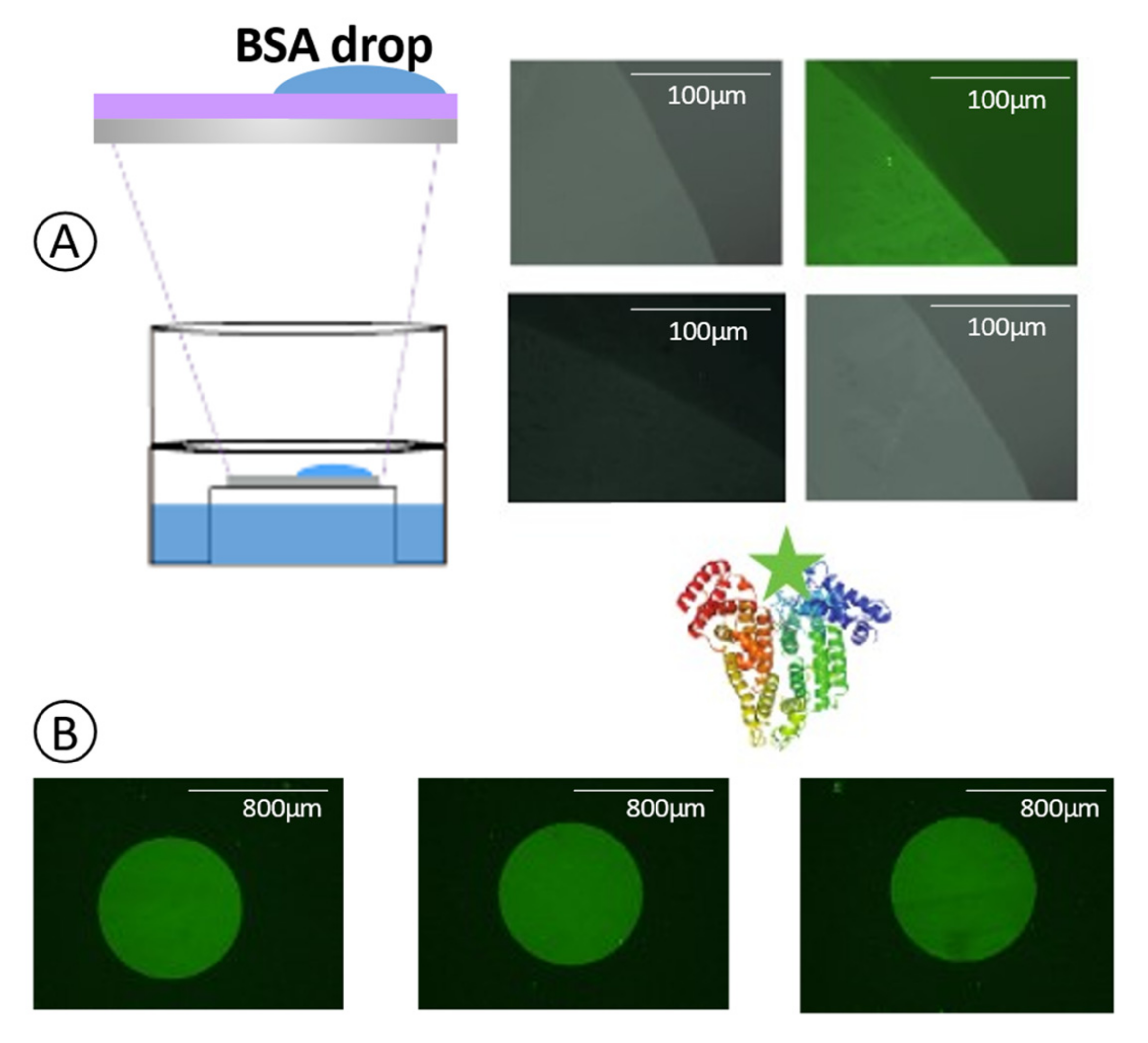 Sensors 21 08156 g004
