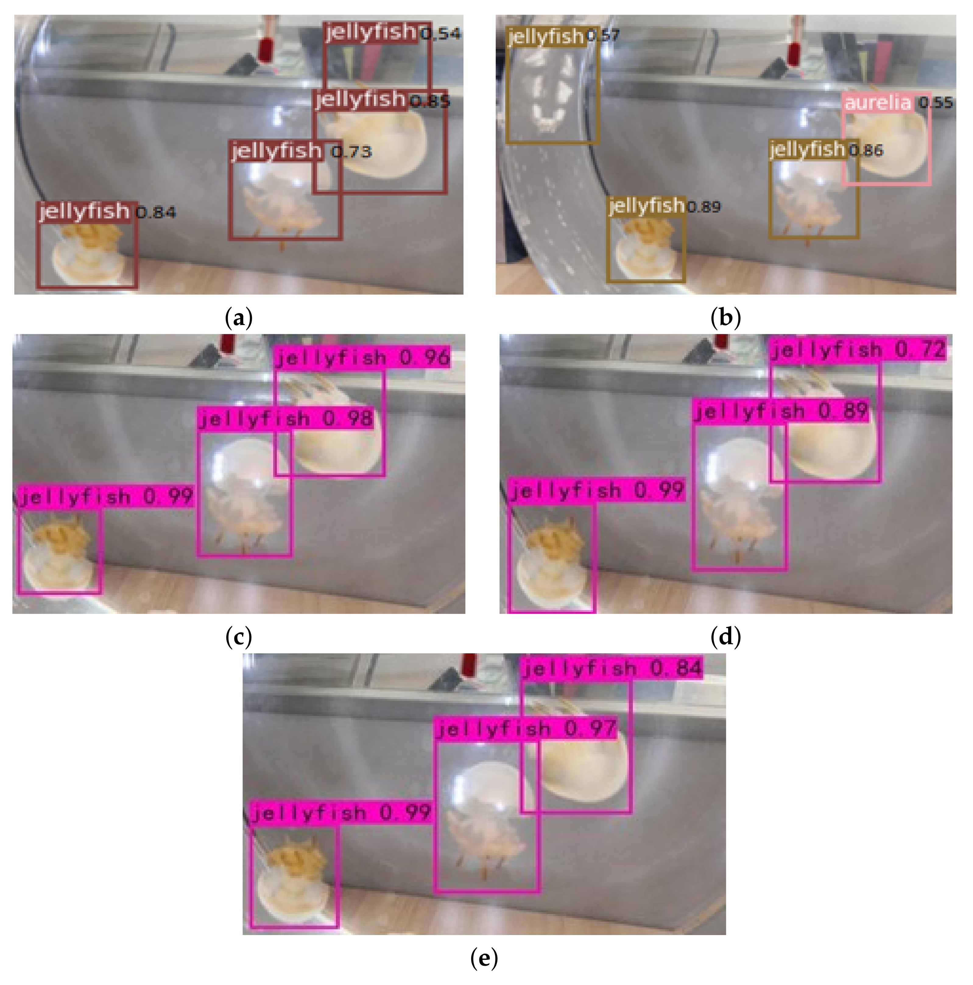 Sensors 21 08160 g009