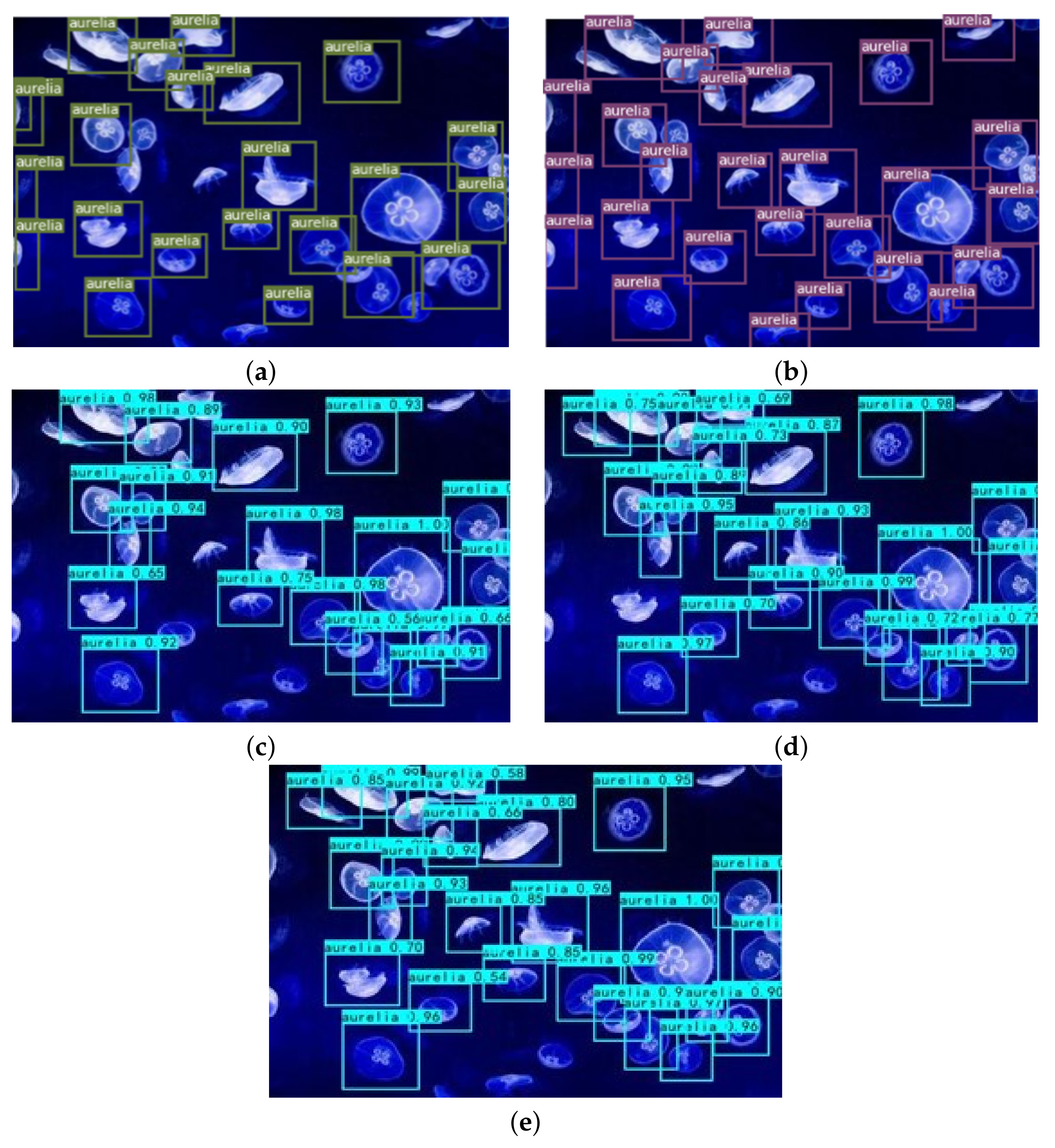 Sensors 21 08160 g010