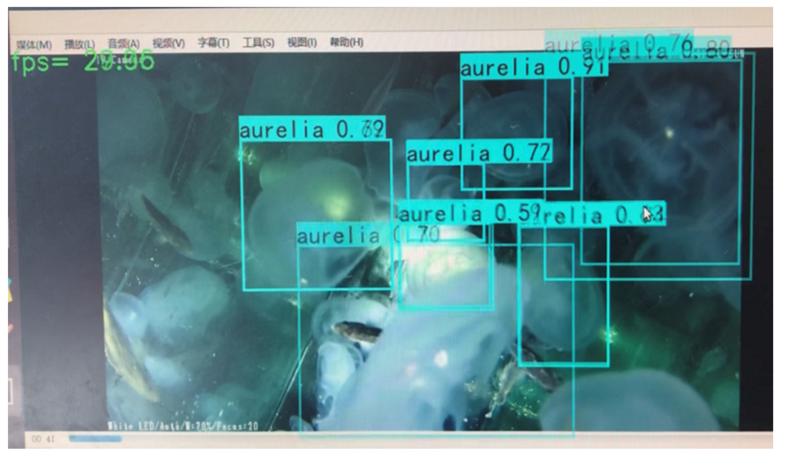 Sensors 21 08160 g011