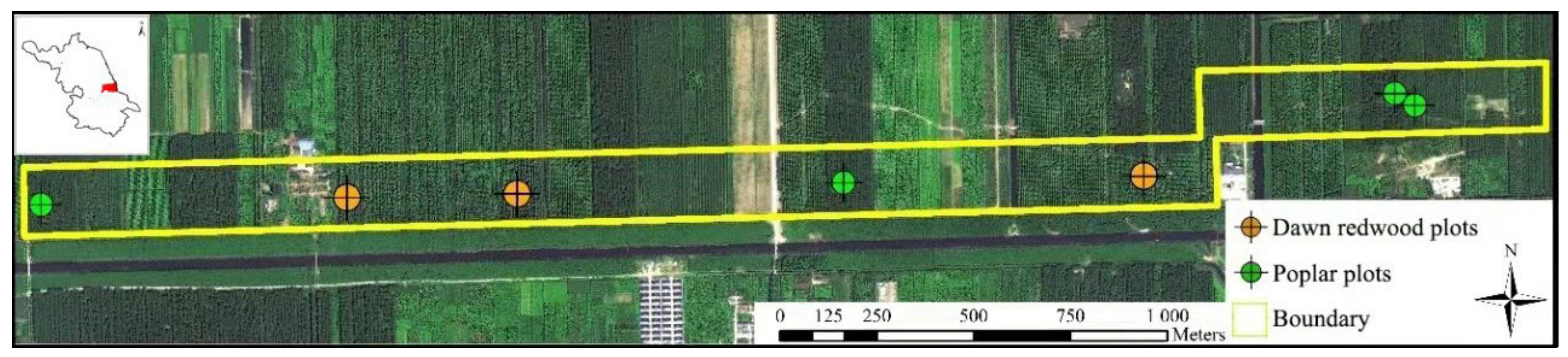 Sensors 21 08162 g001