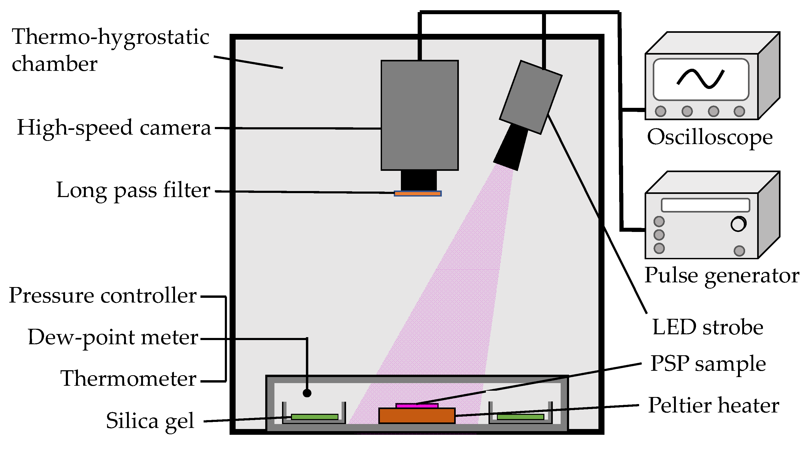 Sensors 21 08177 g002