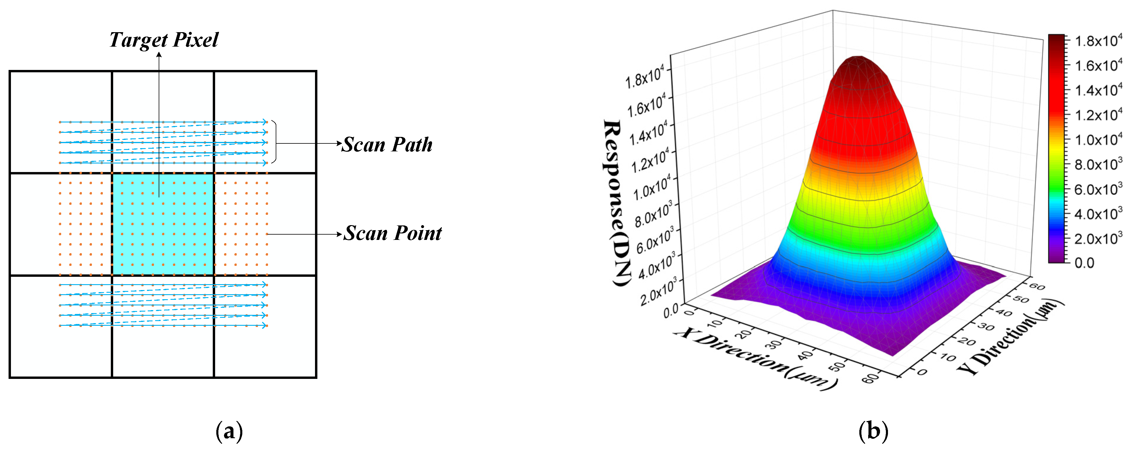 Sensors 21 08195 g002
