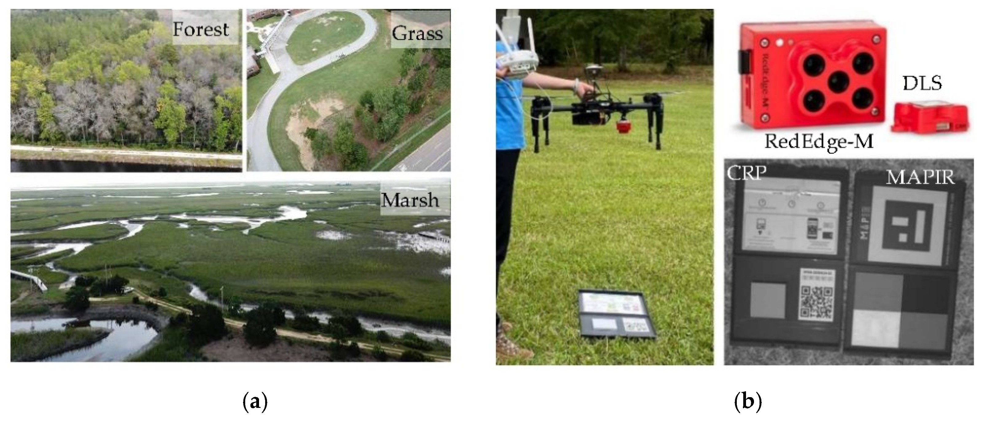 Sensors 21 08224 g001