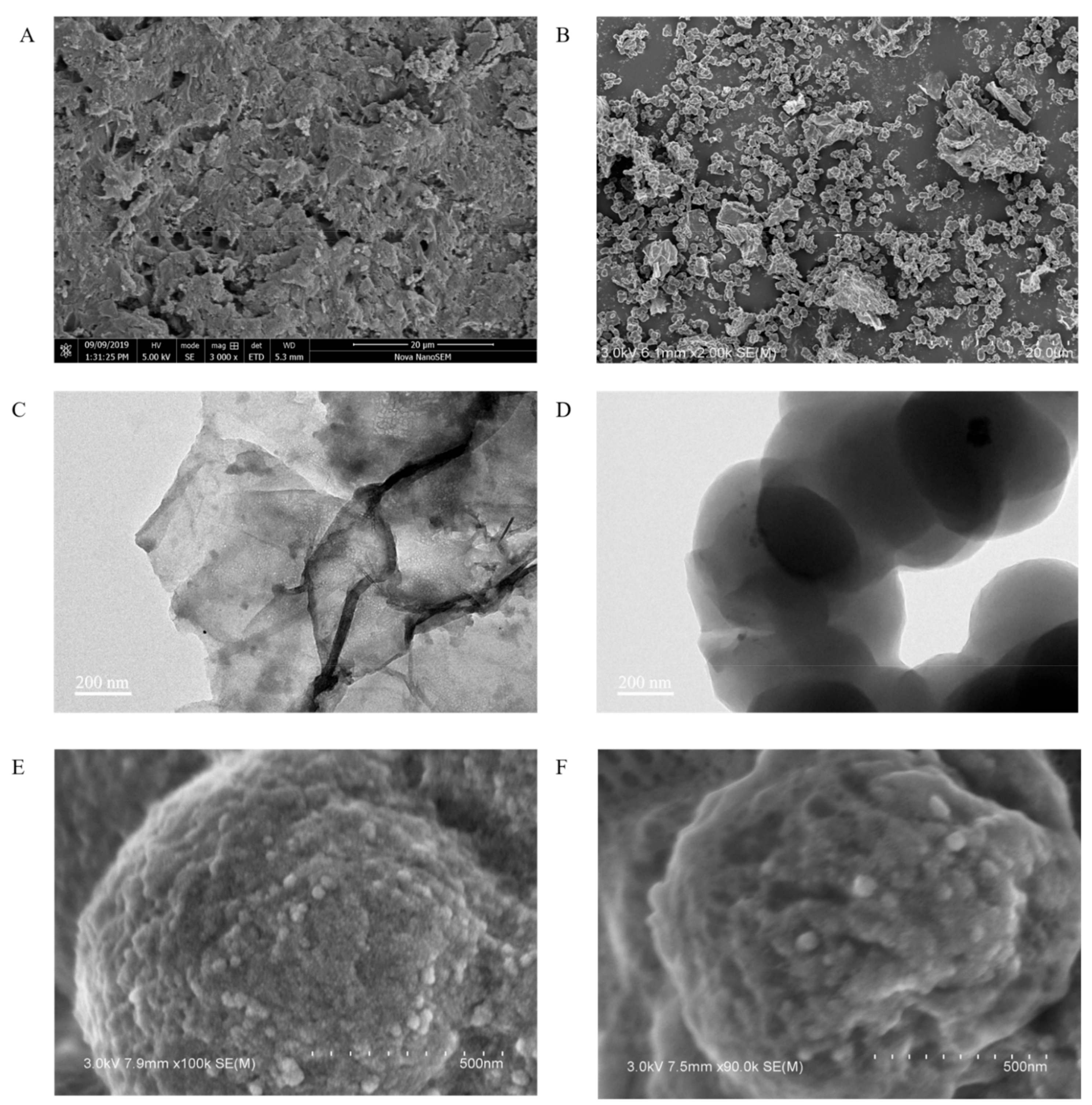 Sensors 21 08240 g002