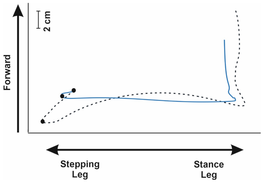 Sensors 21 08244 g002